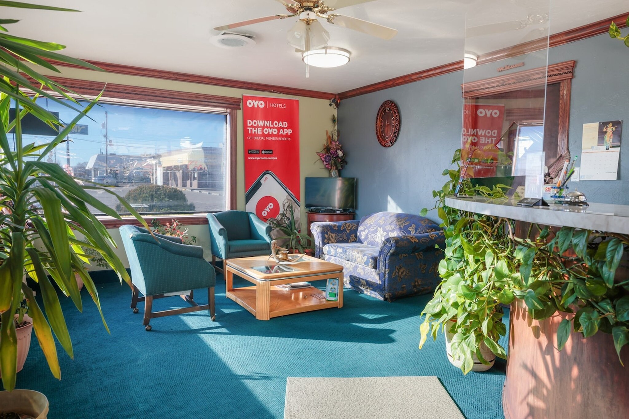 Hall Reception