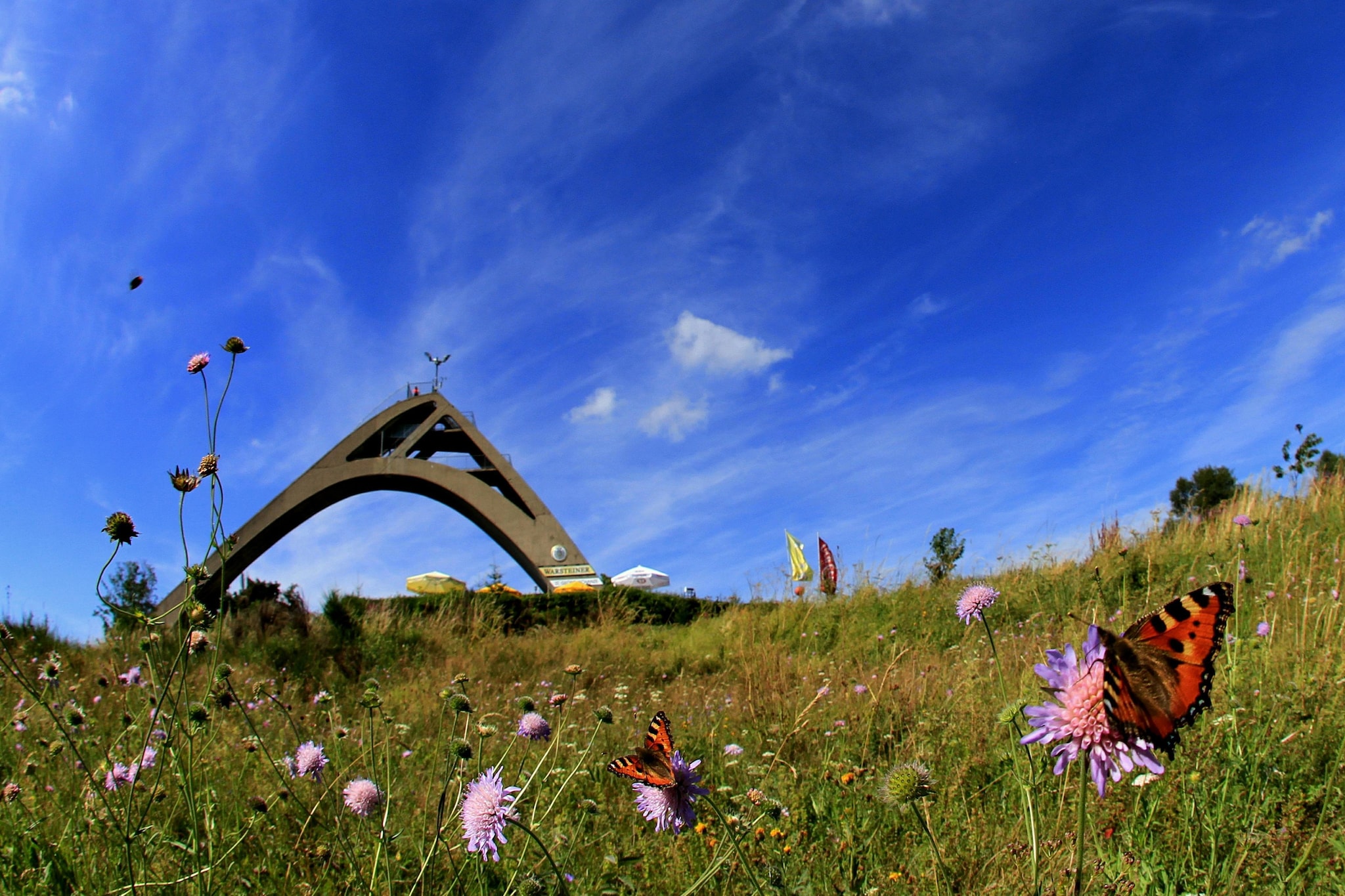 Ferienhaus 'Rothaarglück' Sauerland mit Aussicht-Gebieden zomer 5km
