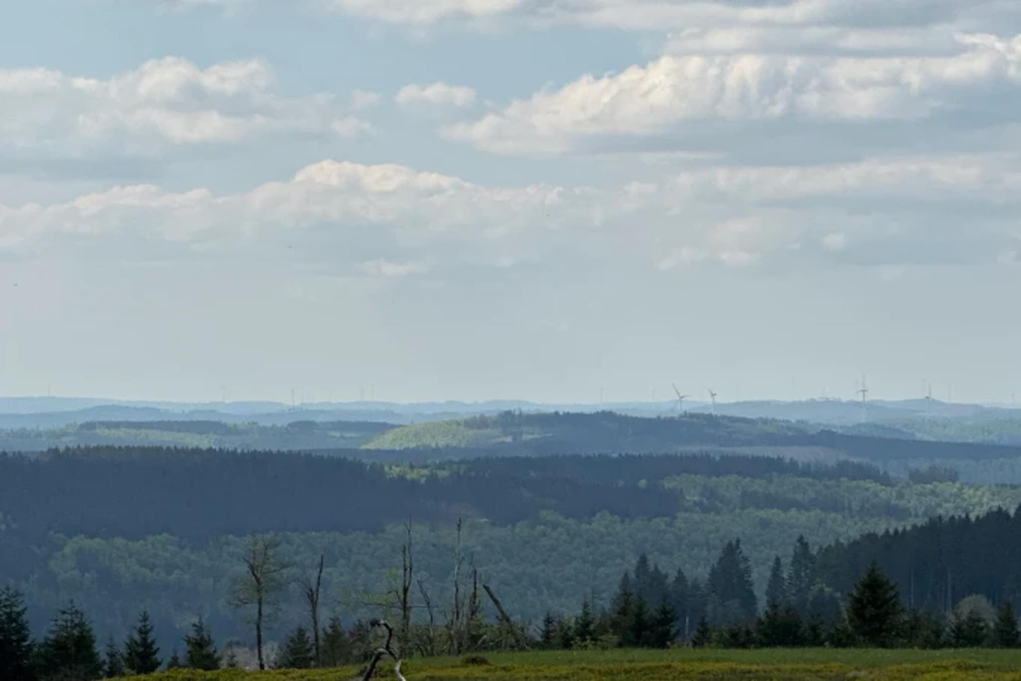 Ferienhaus 'Rothaarglück' Sauerland mit Aussicht-Gebieden zomer 5km
