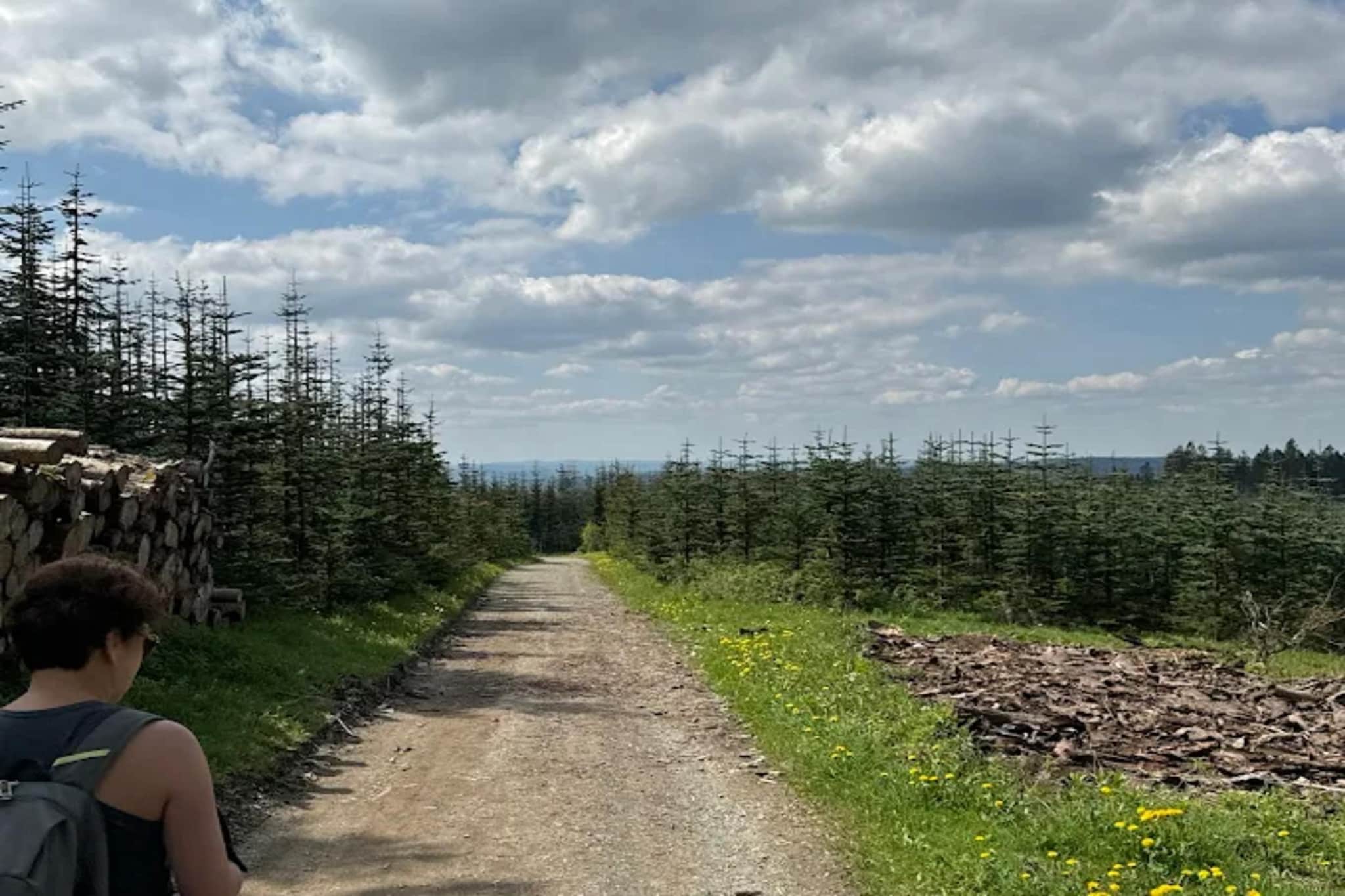 Ferienhaus 'Rothaarglück' Sauerland mit Aussicht-Gebieden zomer 5km