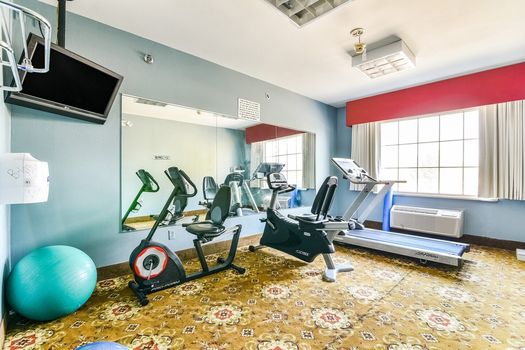 Wellness