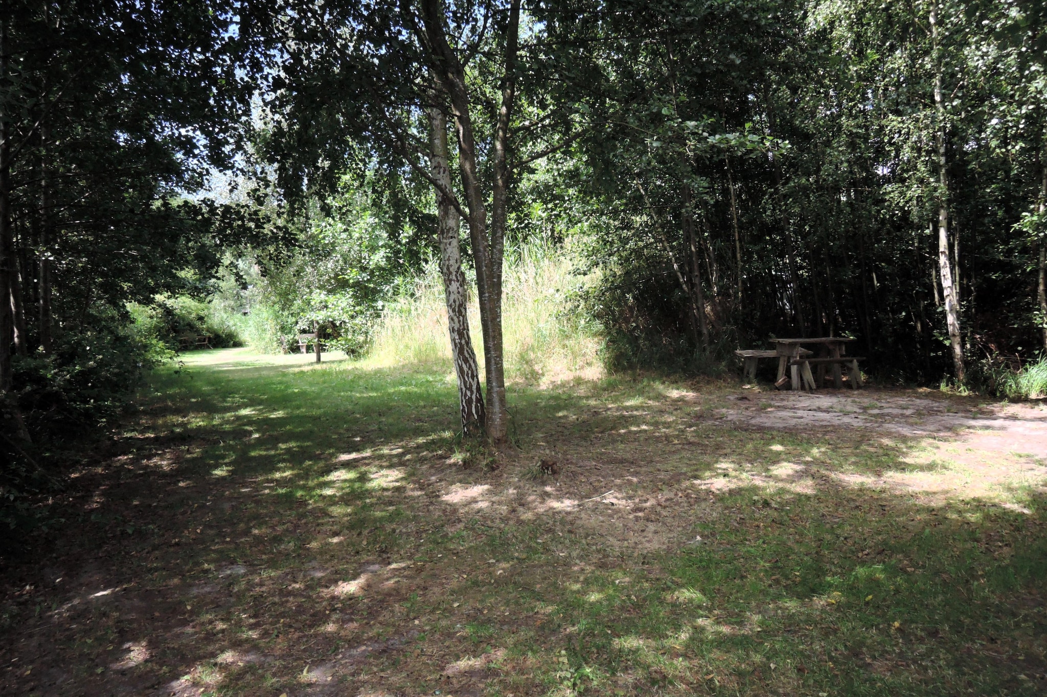 Pod świerkami pokój nr 1 dla 3 osób-Jardin d'été