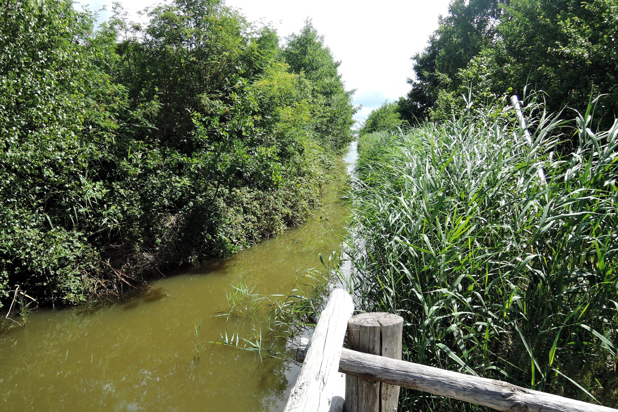 Pod świerkami pokój nr 2 dla 1 osoby-Gärten Sommer