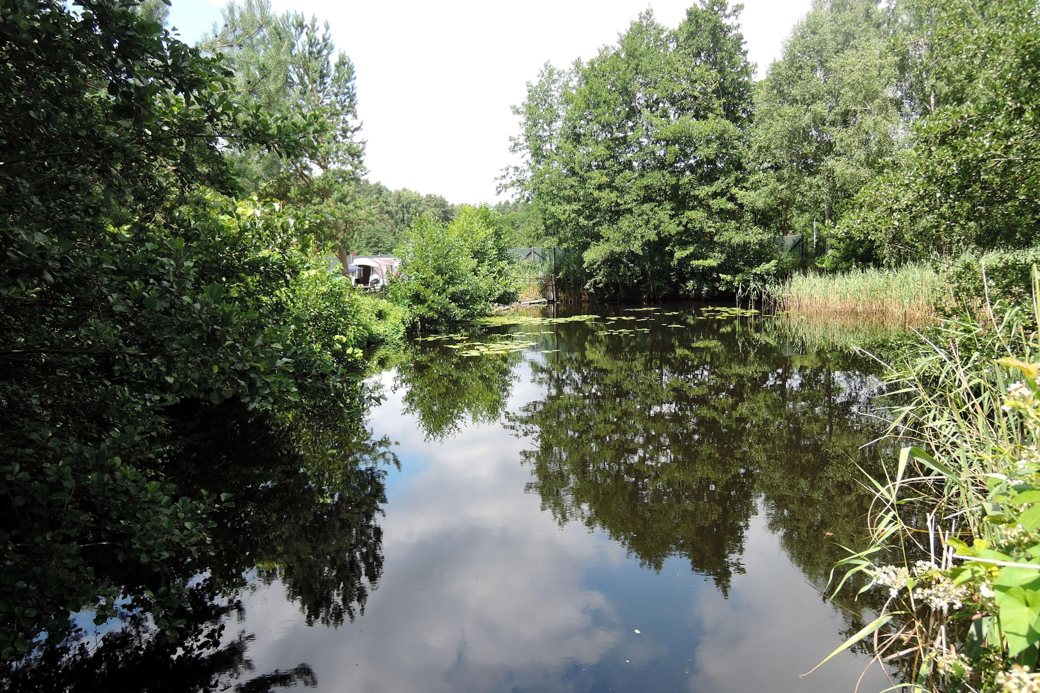 Pod świerkami pokój nr 3 dla 1 osoby-Gärten Sommer