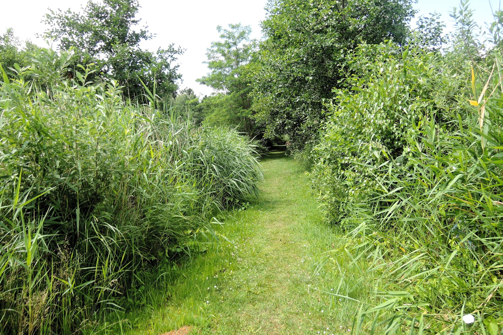 Pod świerkami pokój nr 4 dla 3 osób-Gärten Sommer
