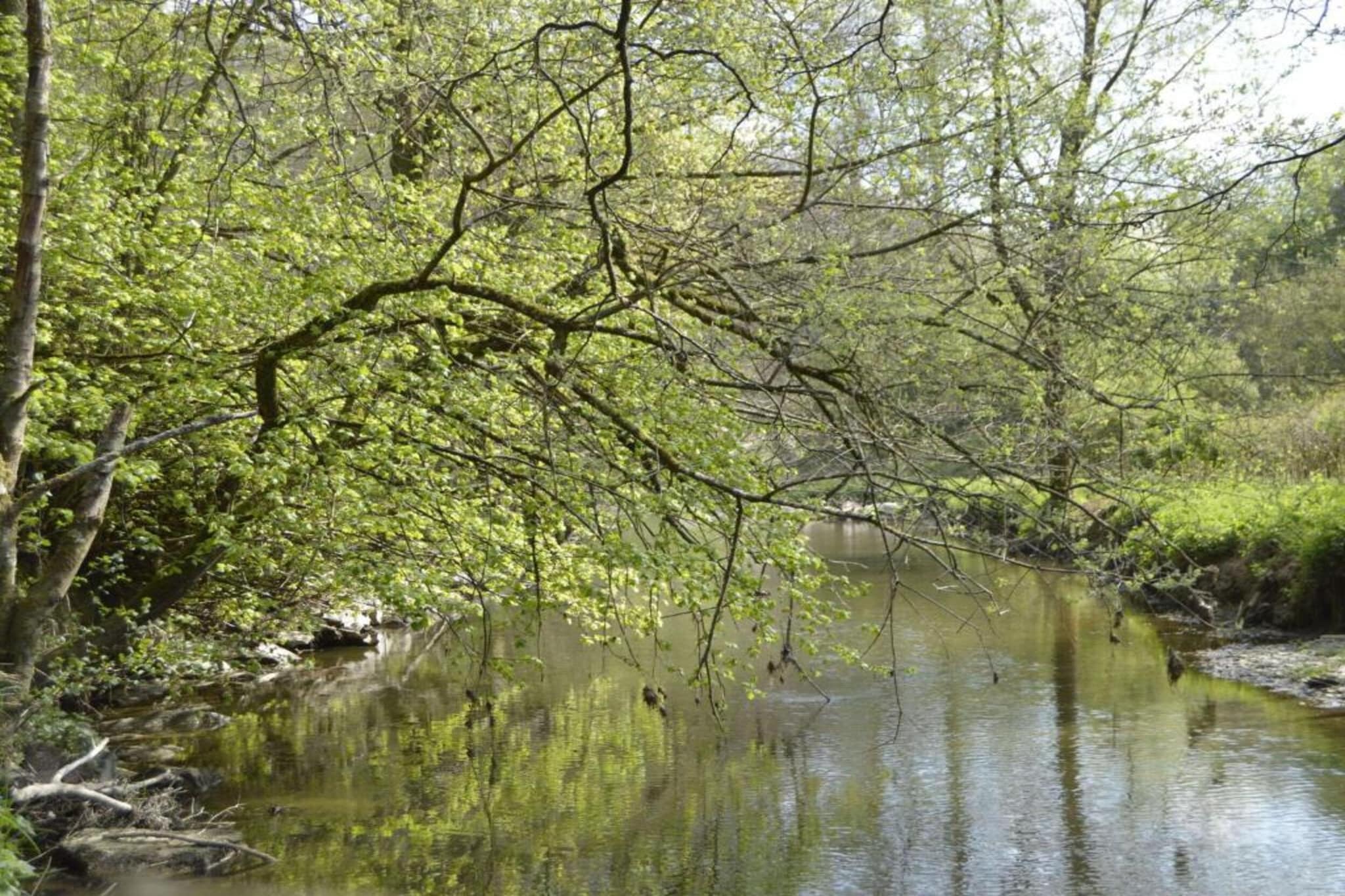 La Source des Bois-Gebieden zomer 20km