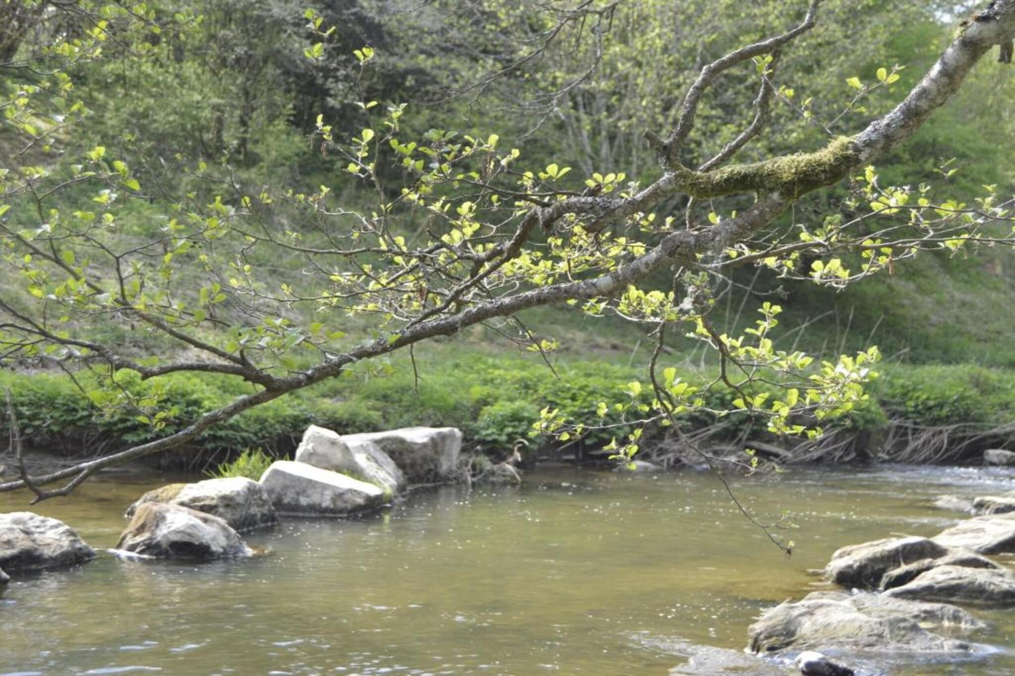 La Source des Bois-Gebieden zomer 20km