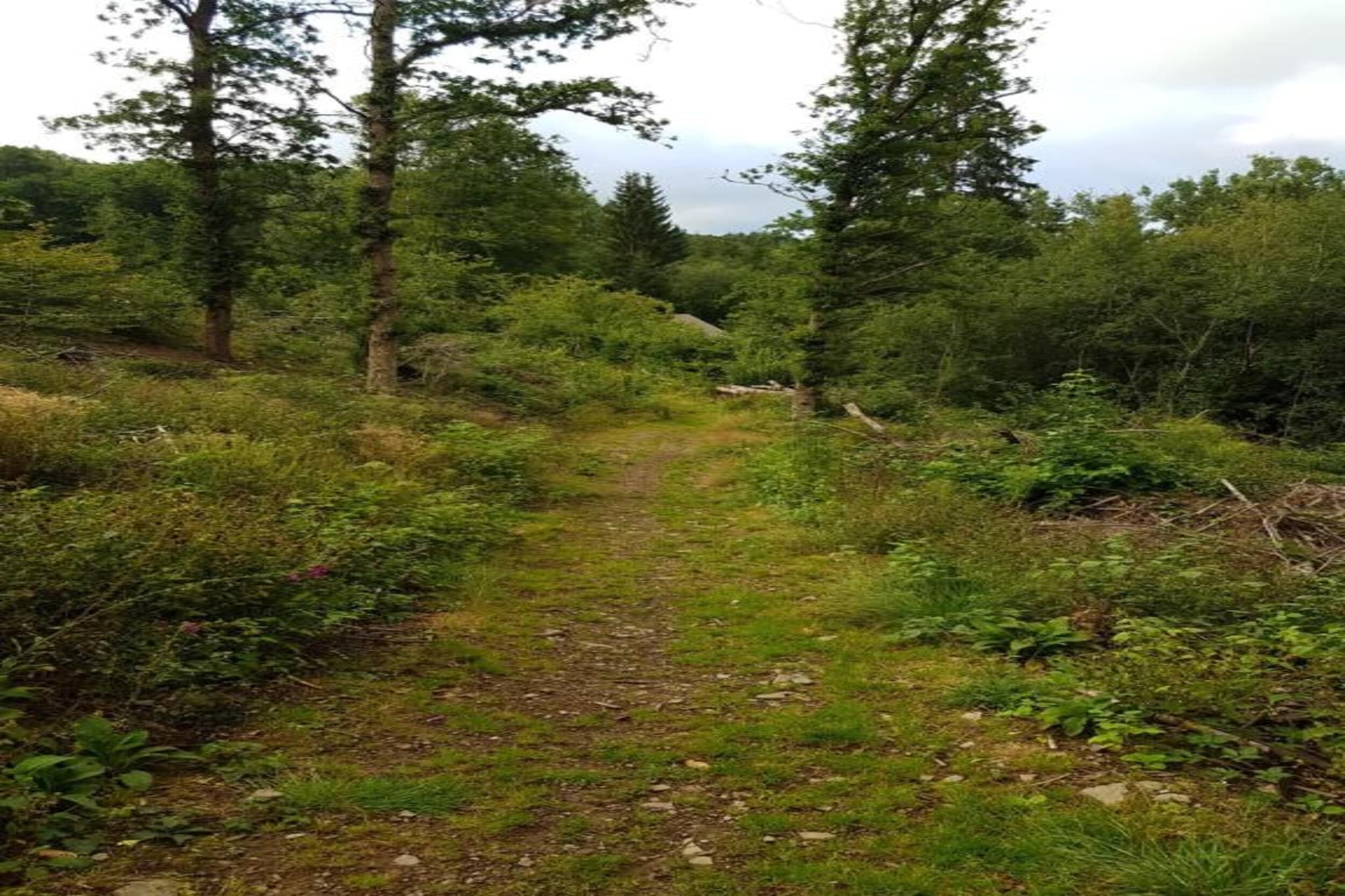 La Source des Bois-Gebieden zomer 20km