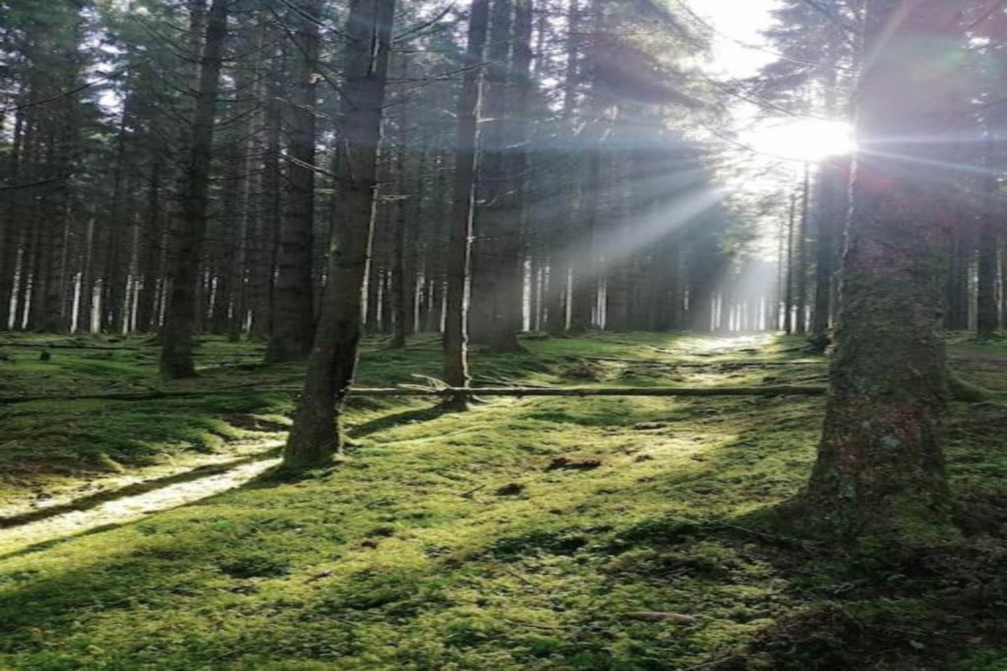 La Source des Bois-Gebieden zomer 20km