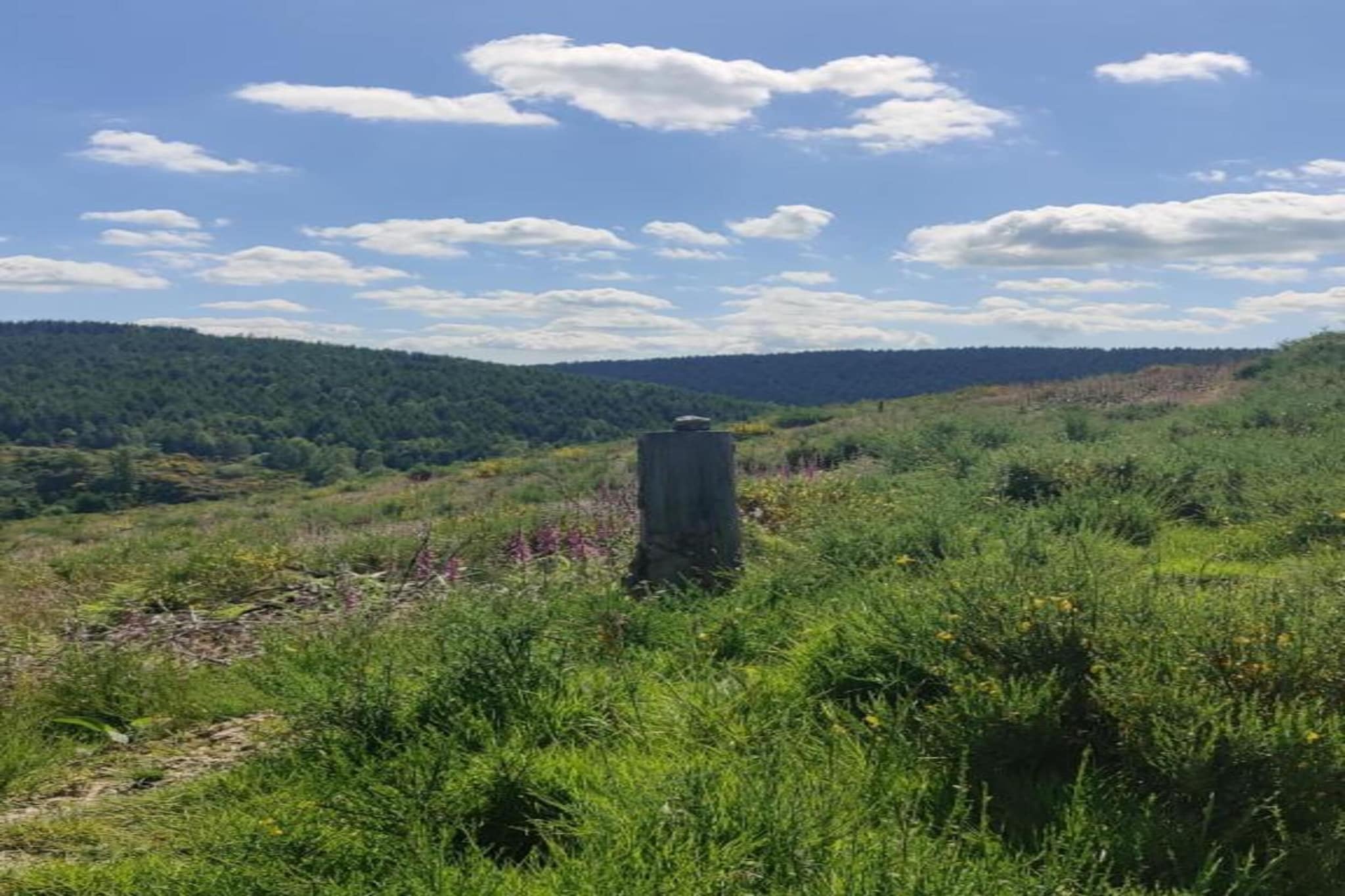 La Source des Bois-Gebieden zomer 20km