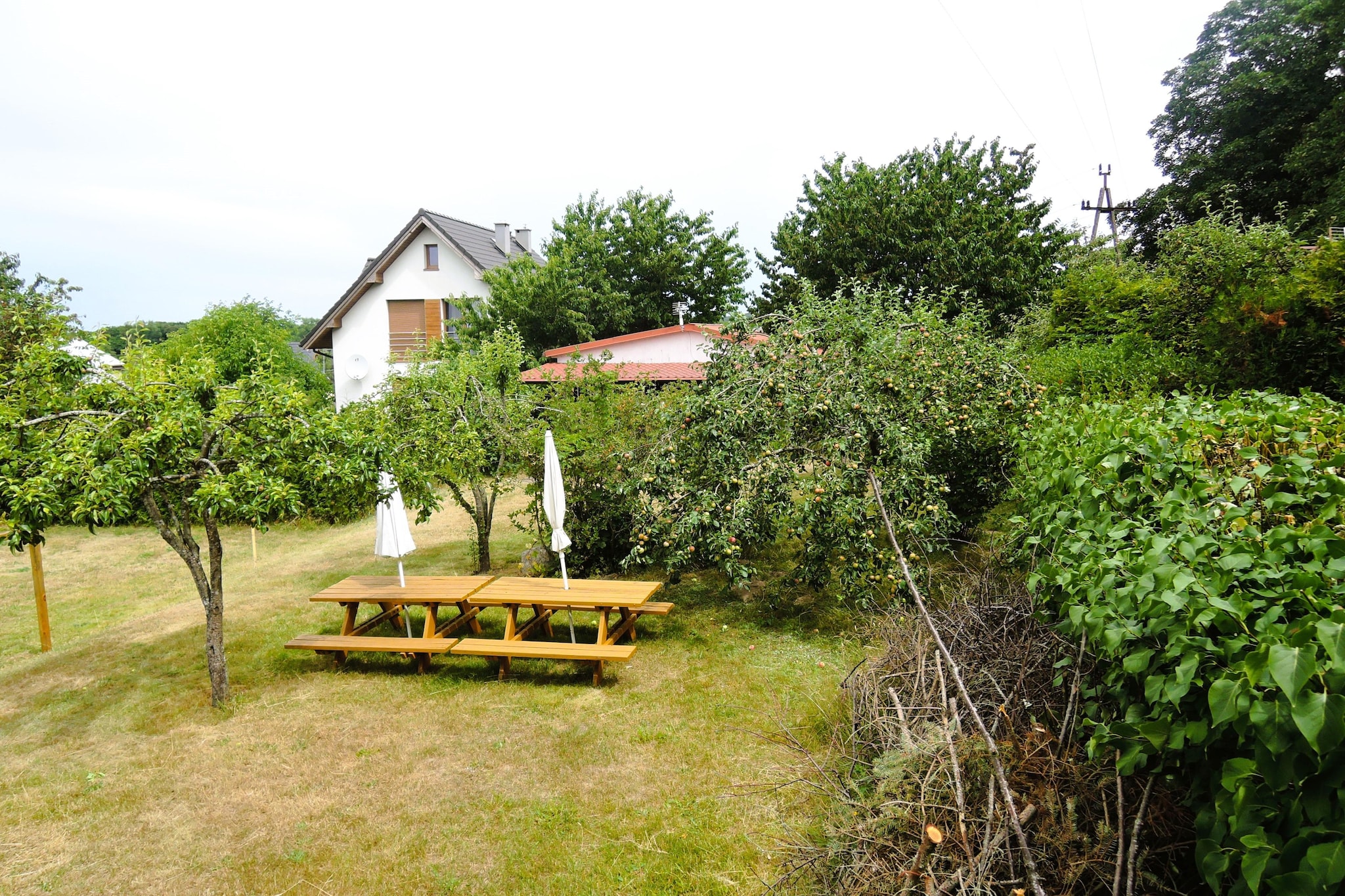 Pod jesionem Lubin domki-Gardens summer