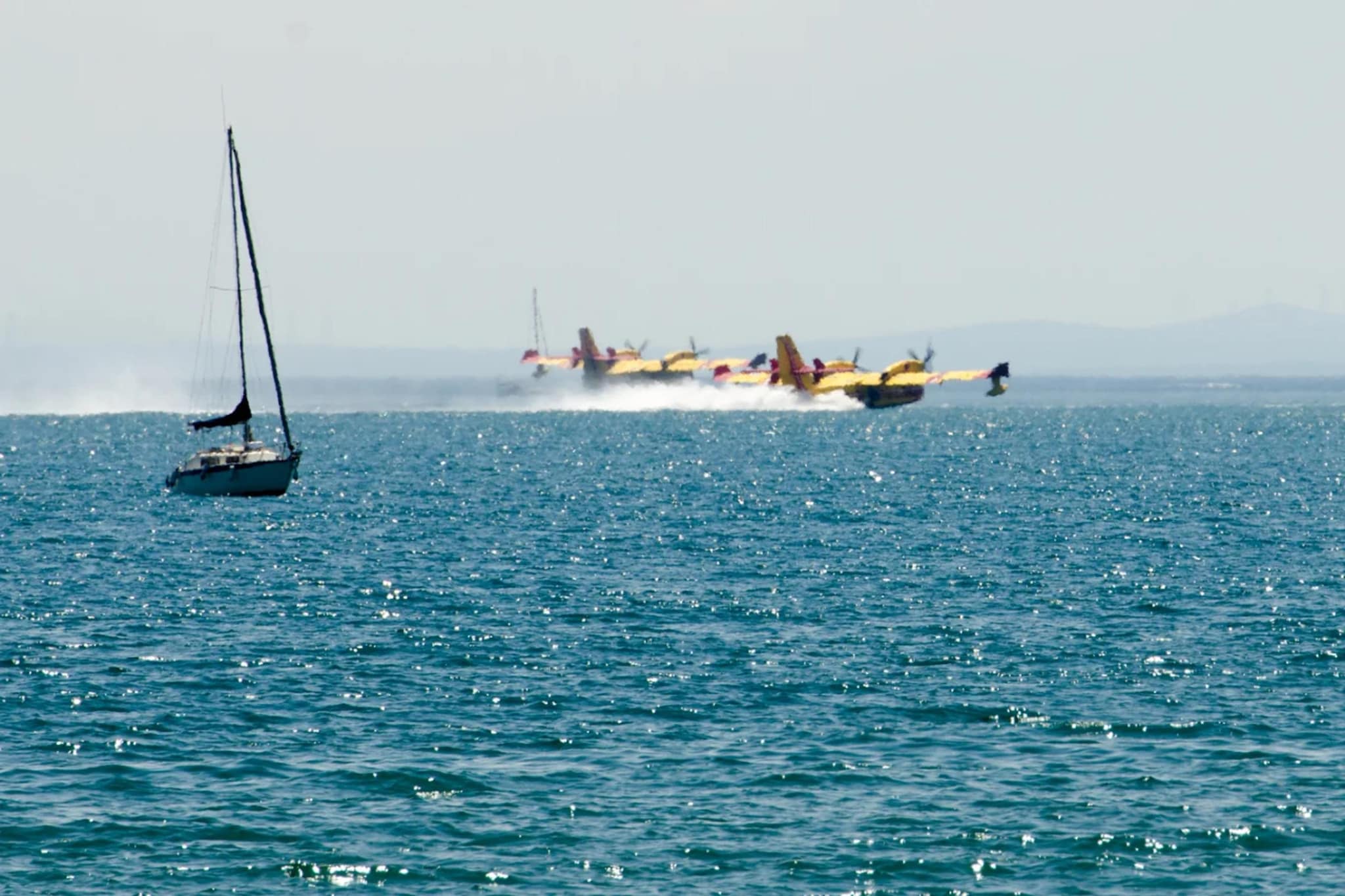 59 Cyril flore-Areas summer 5km