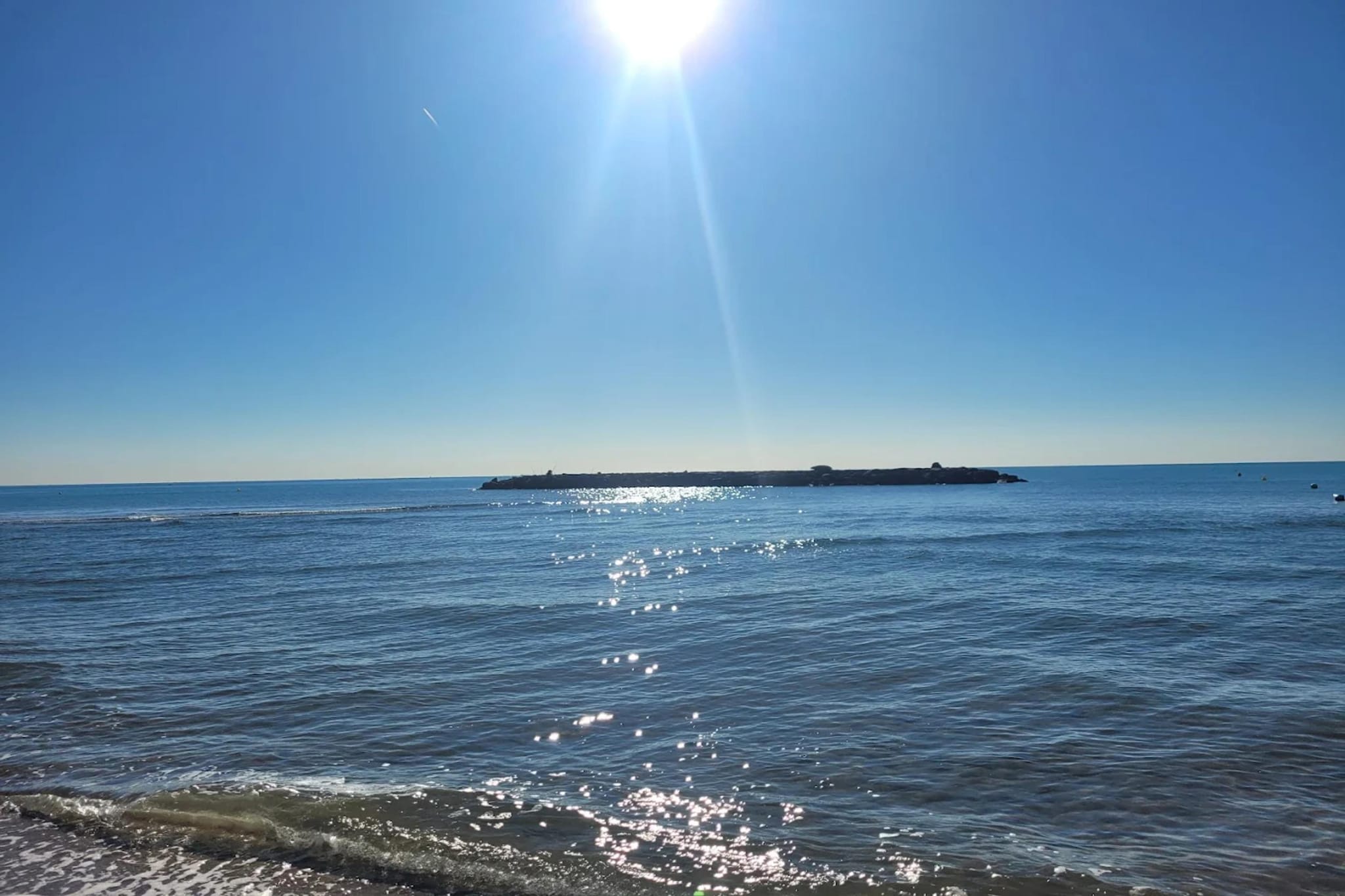59 Cyril flore-Areas summer 5km