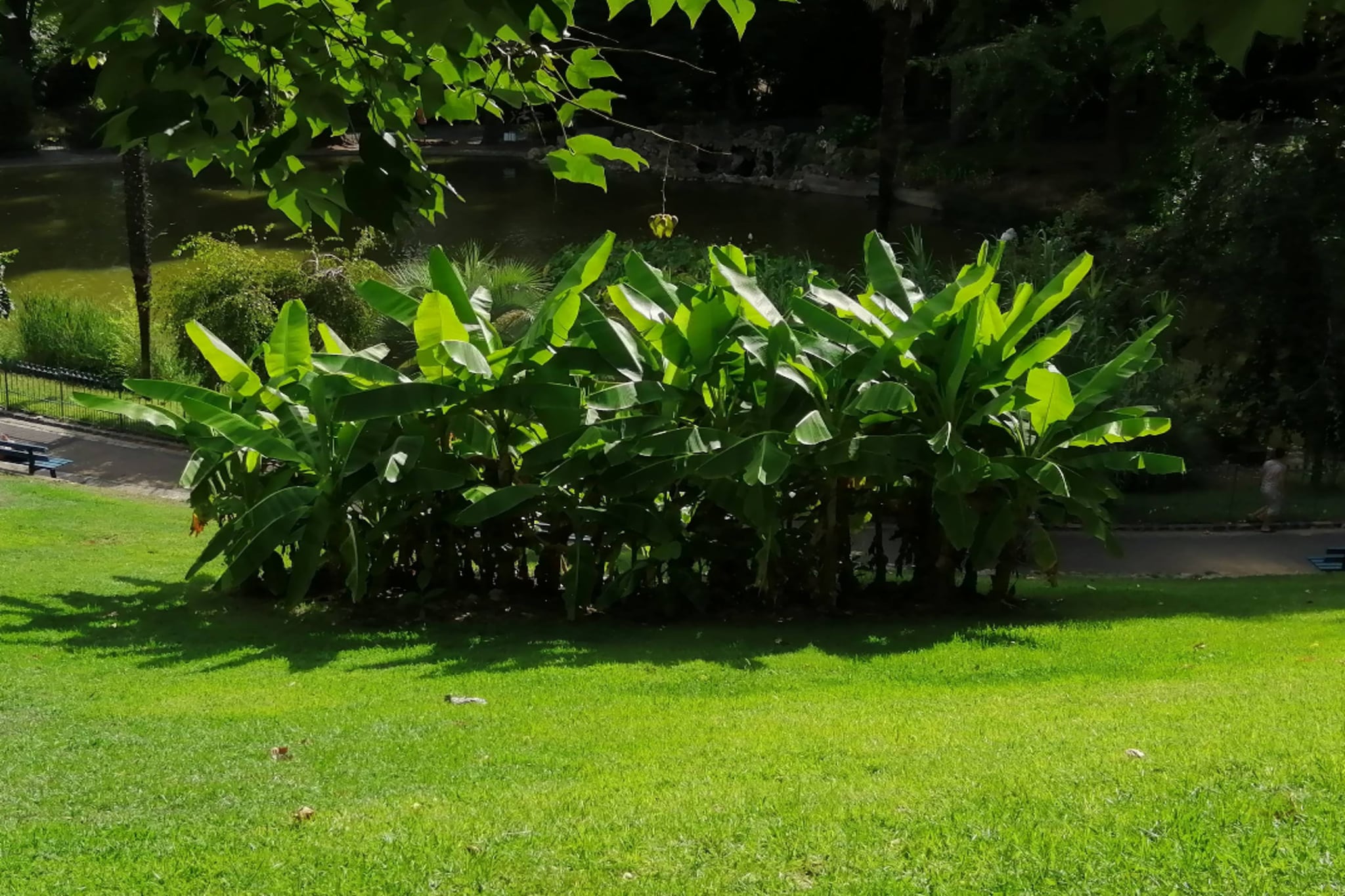 83 Le Faïence Studio-Gebiete Sommer 5 km