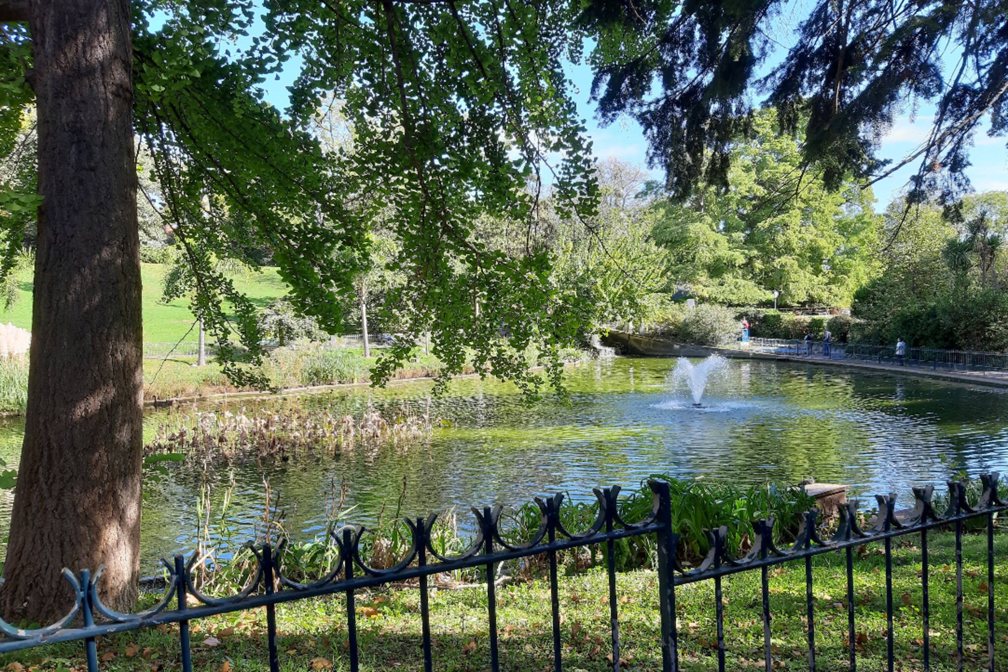 83 Le Faïence Studio-Gebiete Sommer 5 km