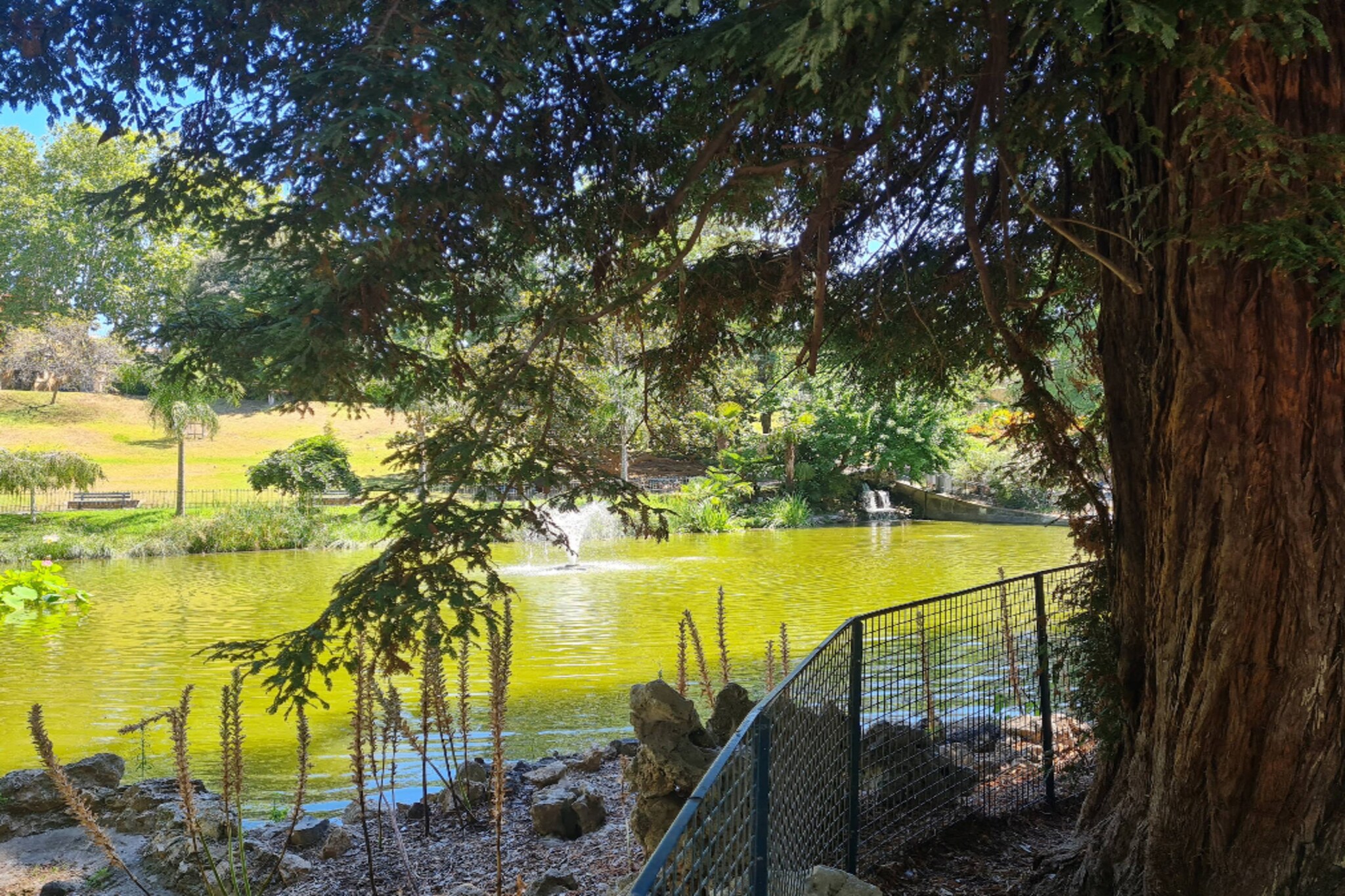 83 Le Faïence Studio-Gebiete Sommer 5 km