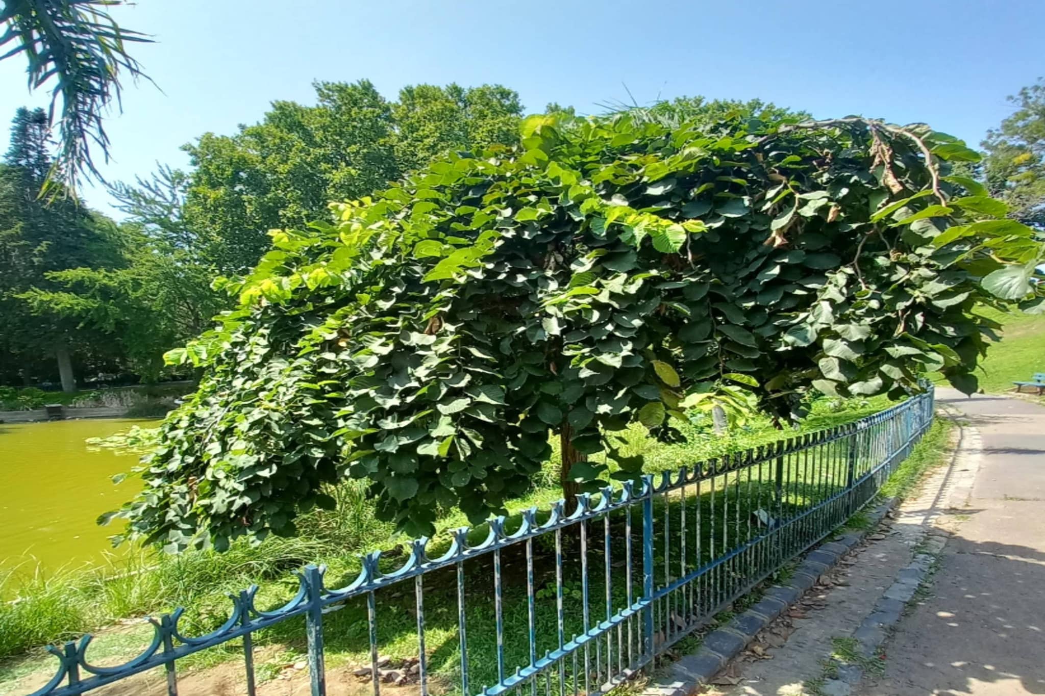 83 Le Faïence Studio-Gebiete Sommer 5 km