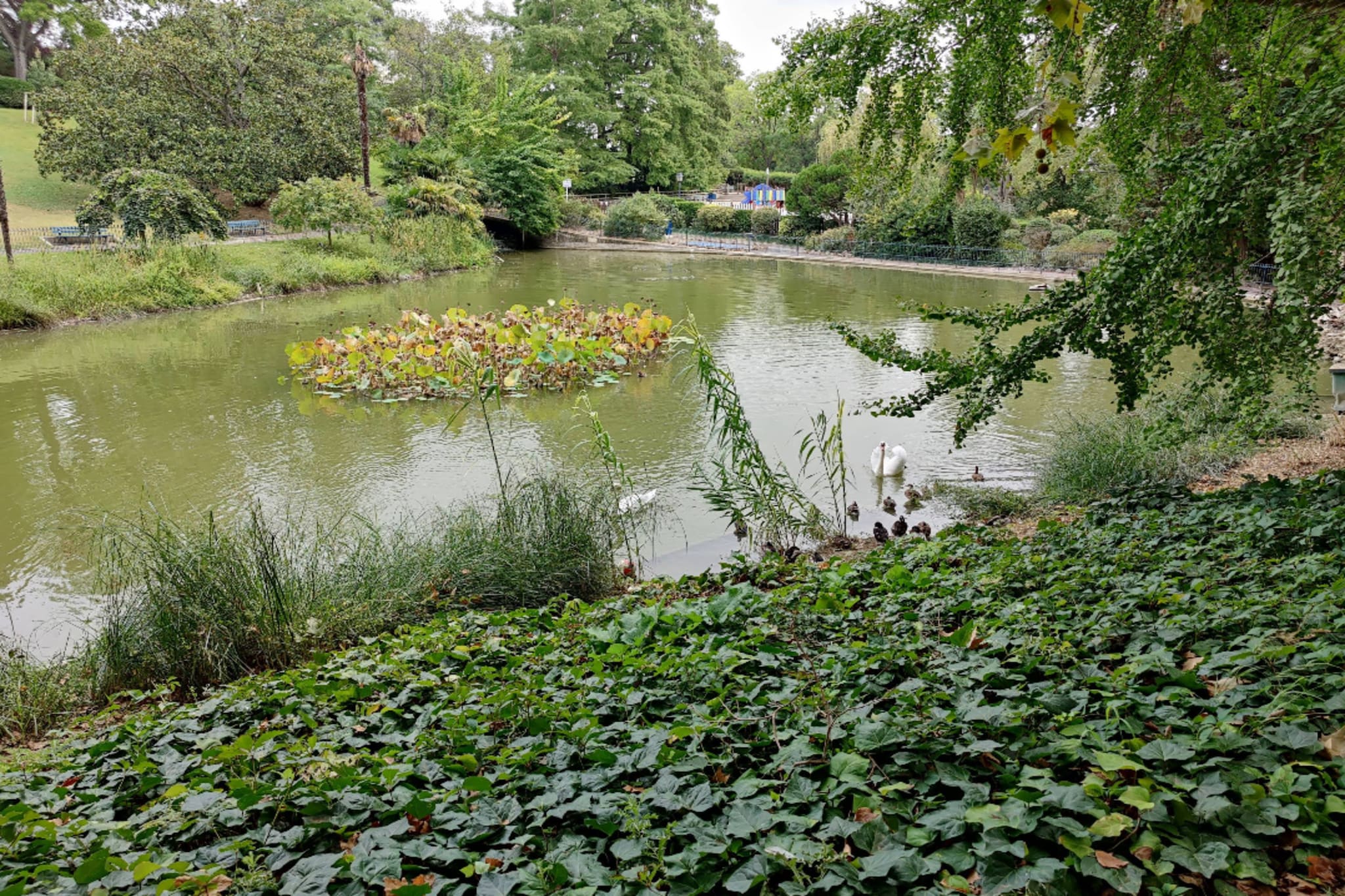 84 Le Faïence Appart-Zones d'été à 5 km