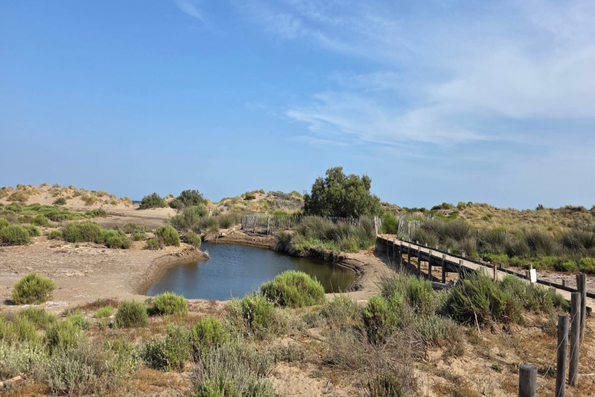 LOU 219 ROQUE-Gebieden zomer 5km