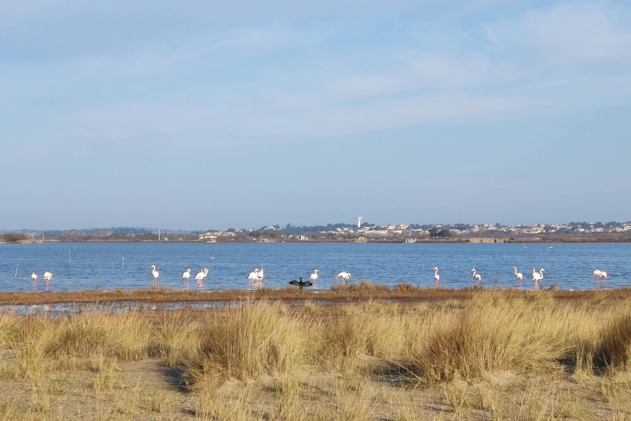 18 Luisin-Gebiete Sommer 5 km