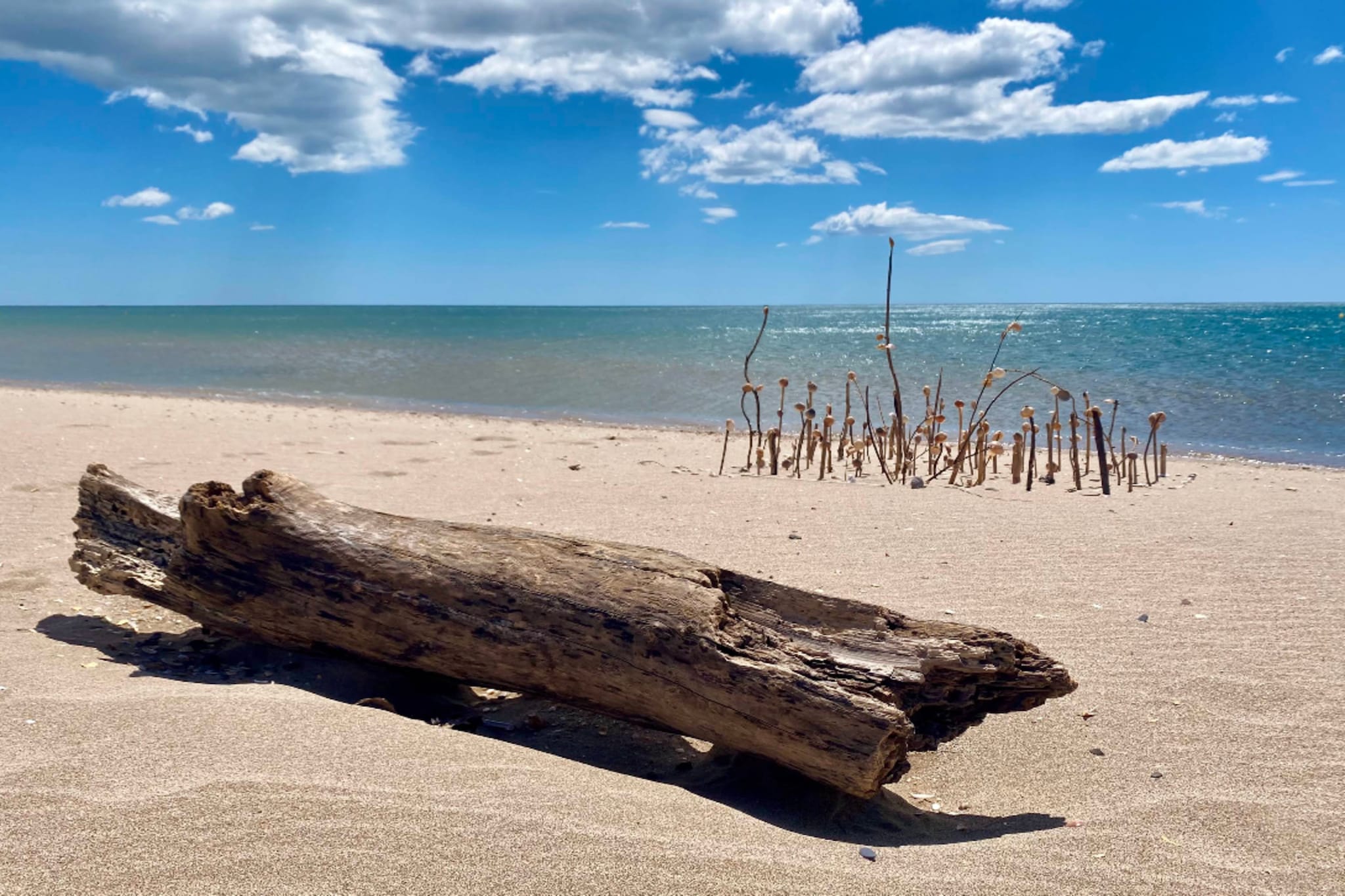32 Casino Beach - M-Zones d'été à 5 km