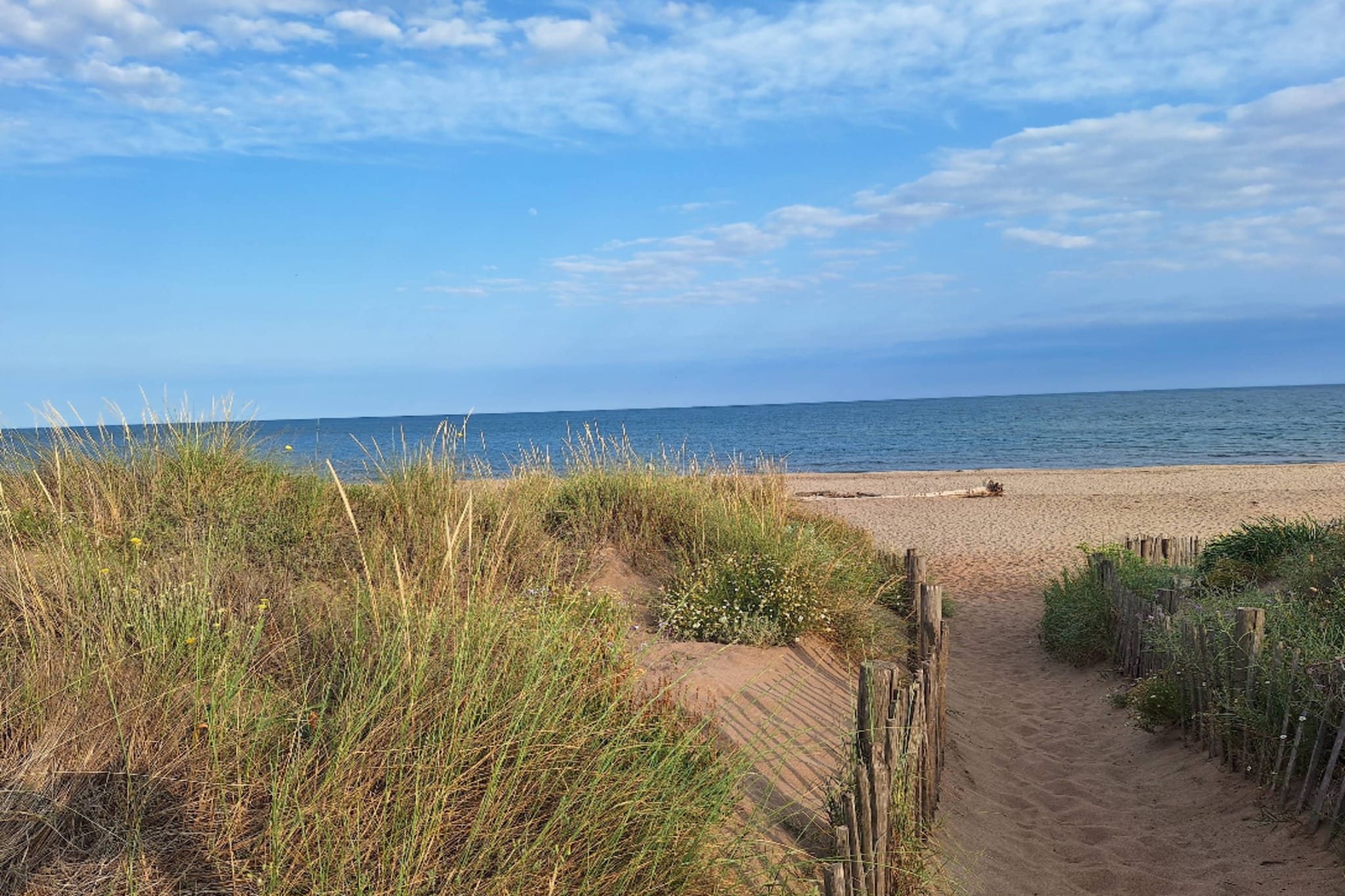 48 Escapade Plage à - Gebieden zomer 5km