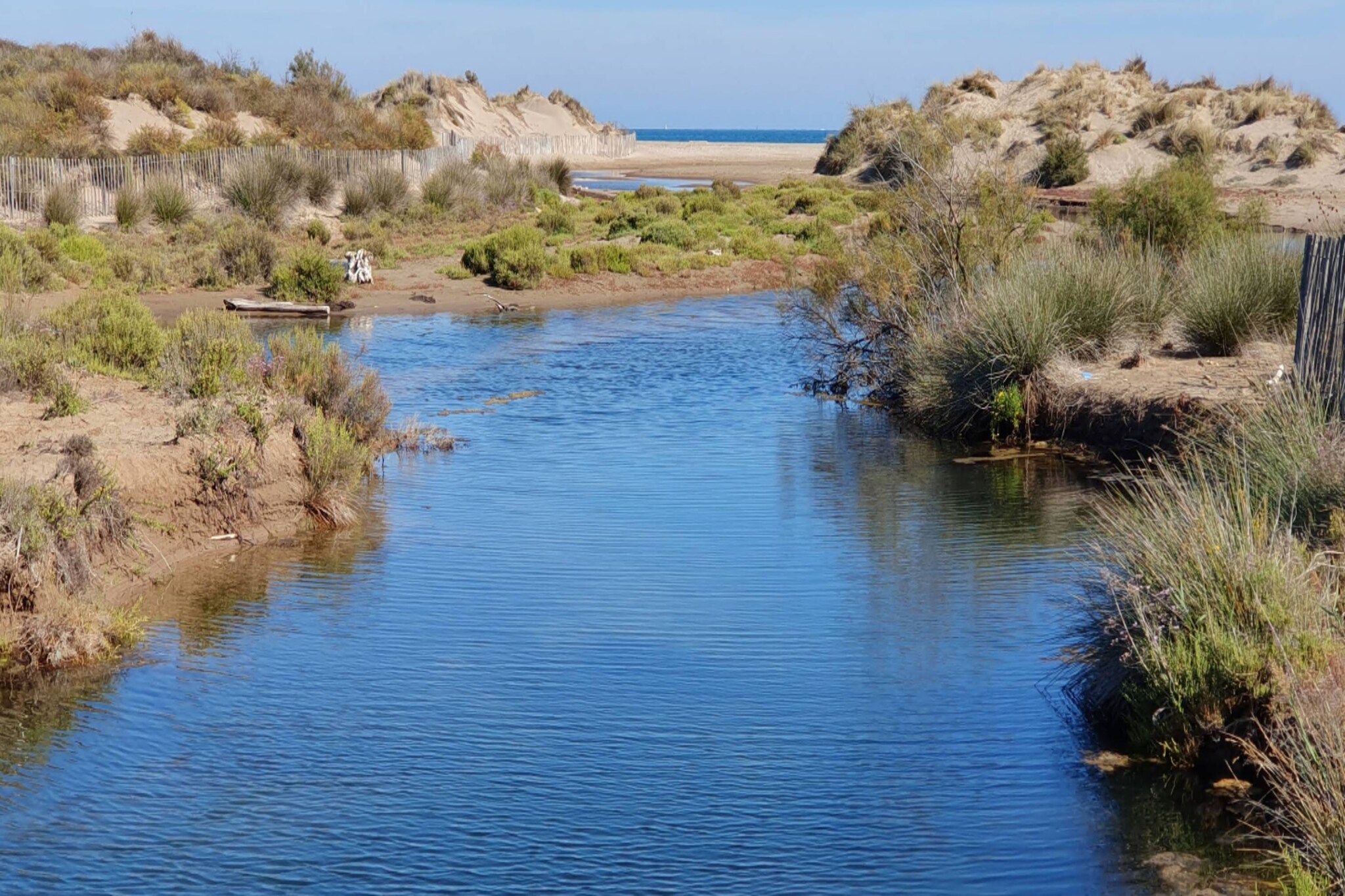Languedoc-Roussillon
