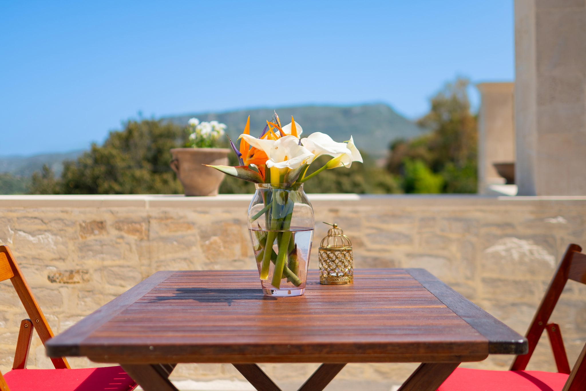 Evergreen-Terrasbalkon