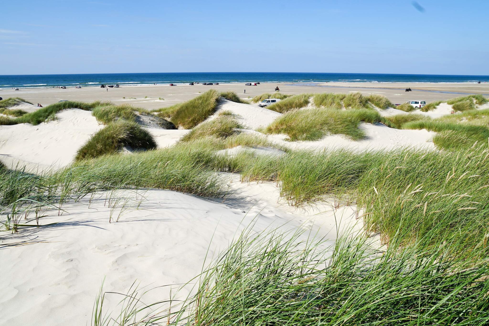 Internet Access DSL, Kitchen(cooker(electric), coffee machine, microwave, dishwasher, fridge, freezer(1-59L)), Living/bed room(TV, high chair, chromecast), bedroom(double bed), bedroom(2x single bed), bedroom(single folding bed), bathroom(washbasin, shower, toilet), fridge-freezer, balcony