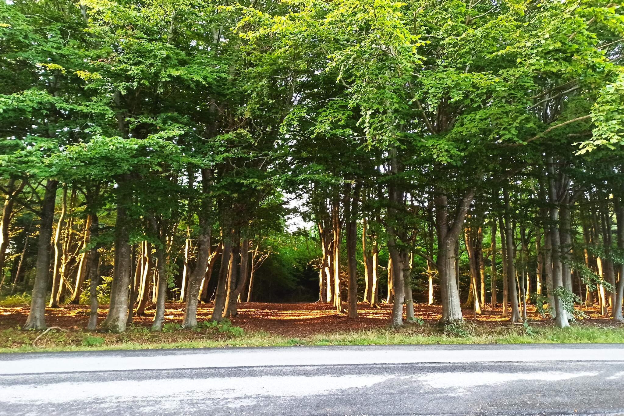 4 star holiday home in Brønderslev