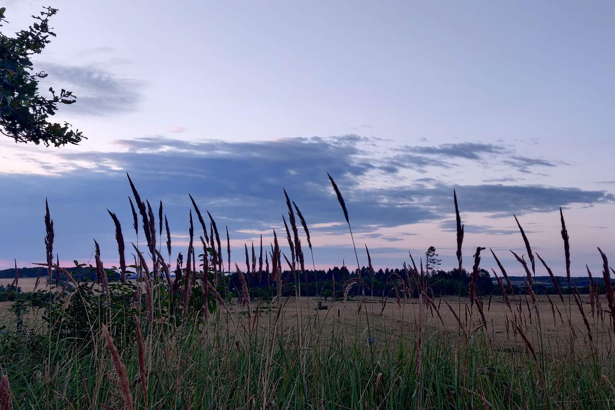 Jammerbg.+ Tannisbg.