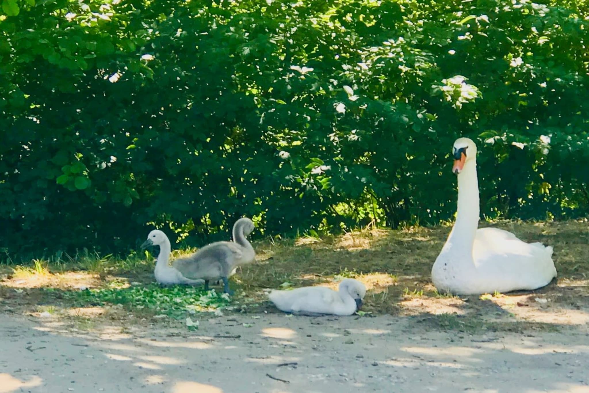 Chez Vous à Uzès-Gebieden zomer 5km