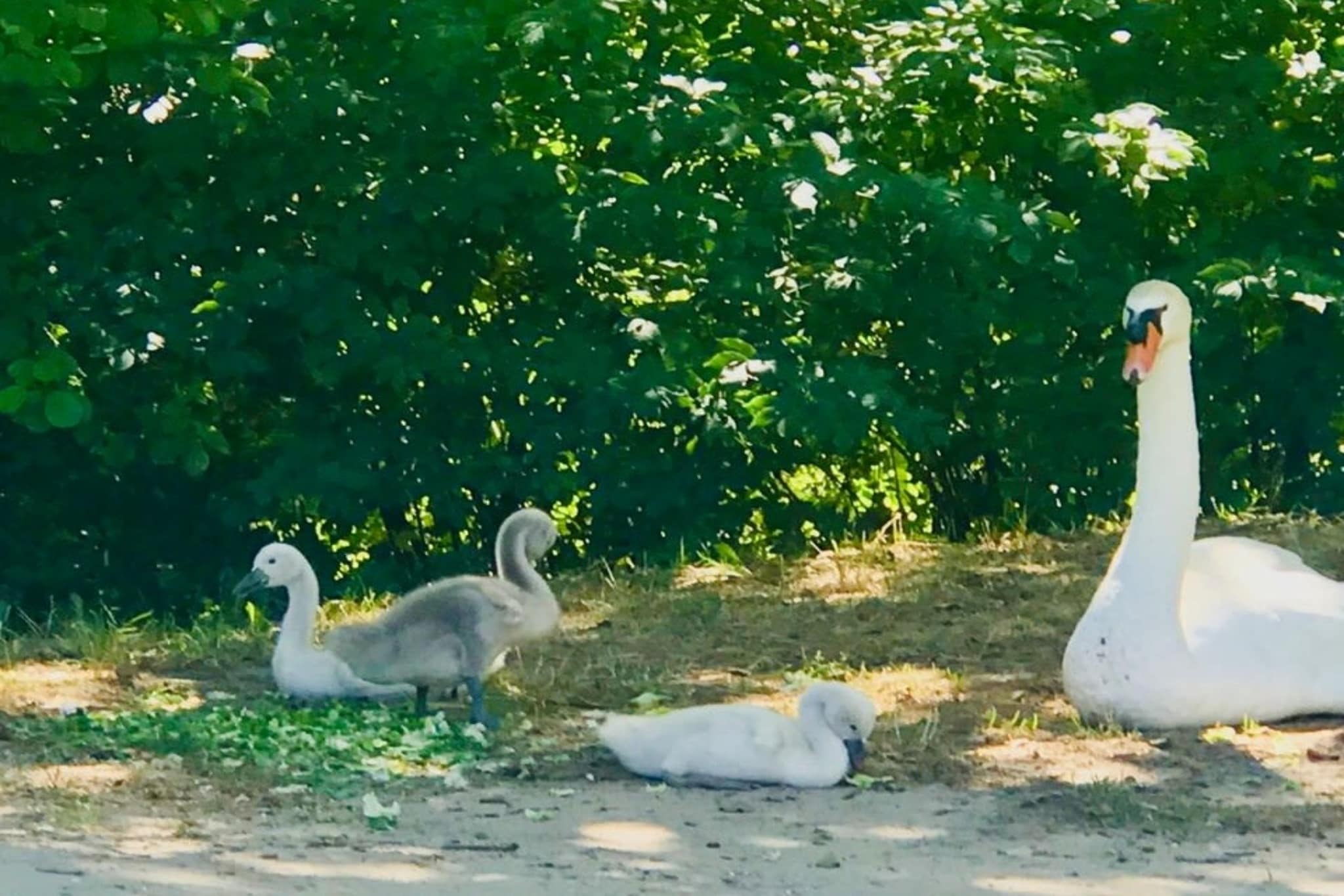 Chez Vous à Uzès - Gebieden zomer 5km