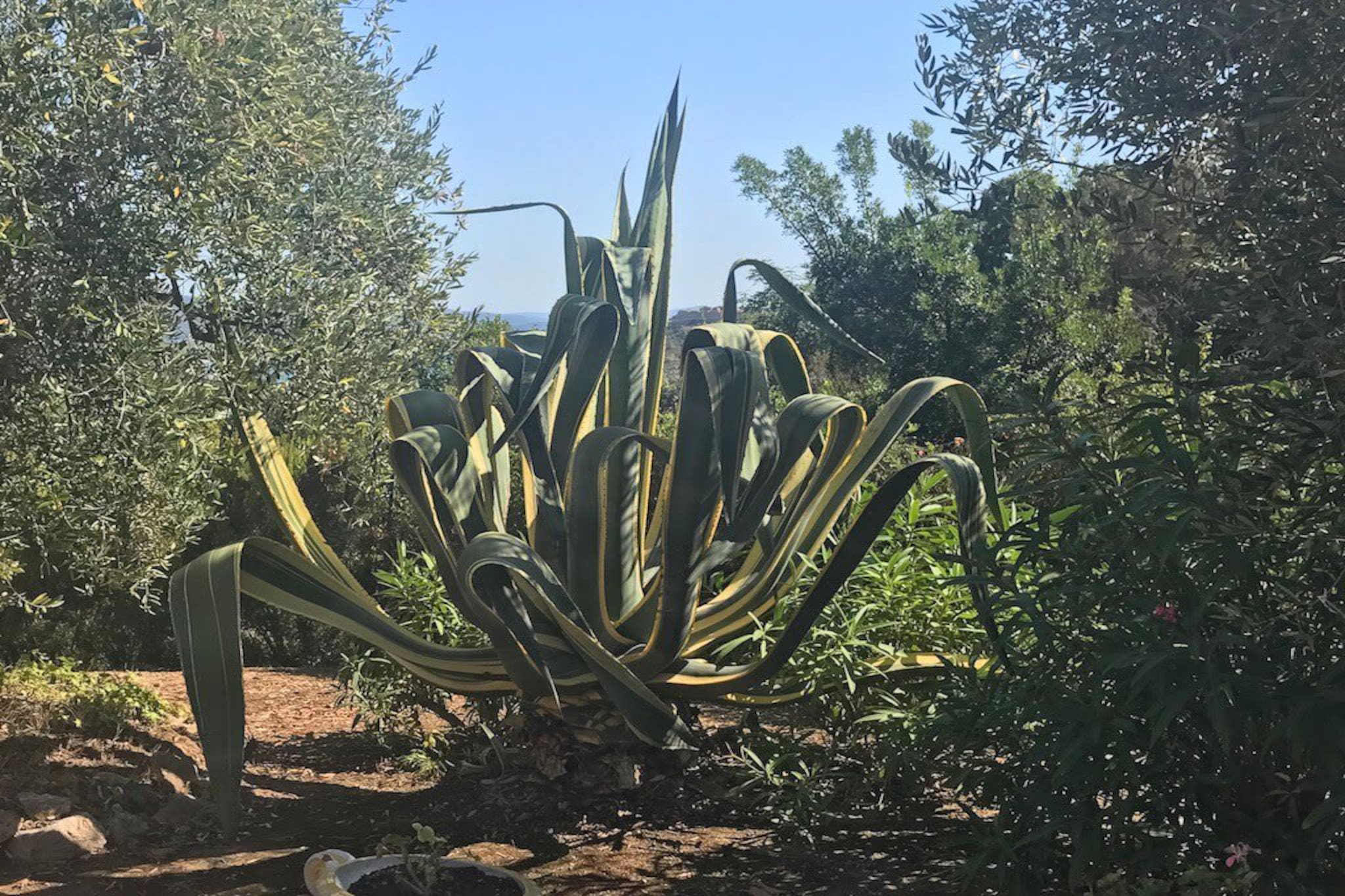 Villa della Fonte-Tuinen zomer