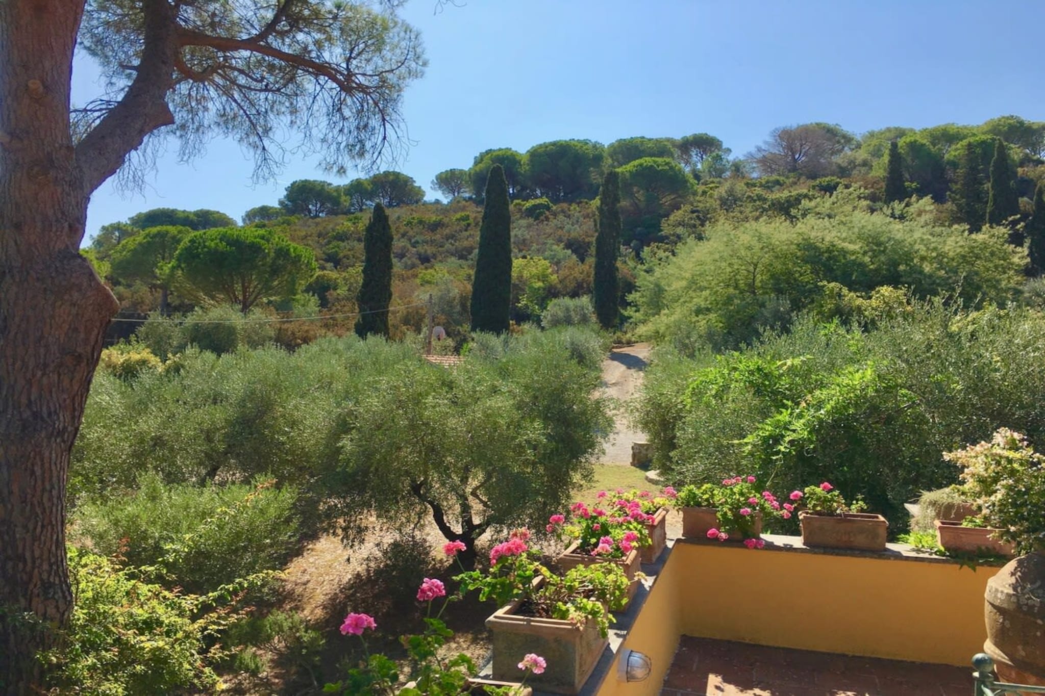 Villa della Fonte-Uitzicht zomer