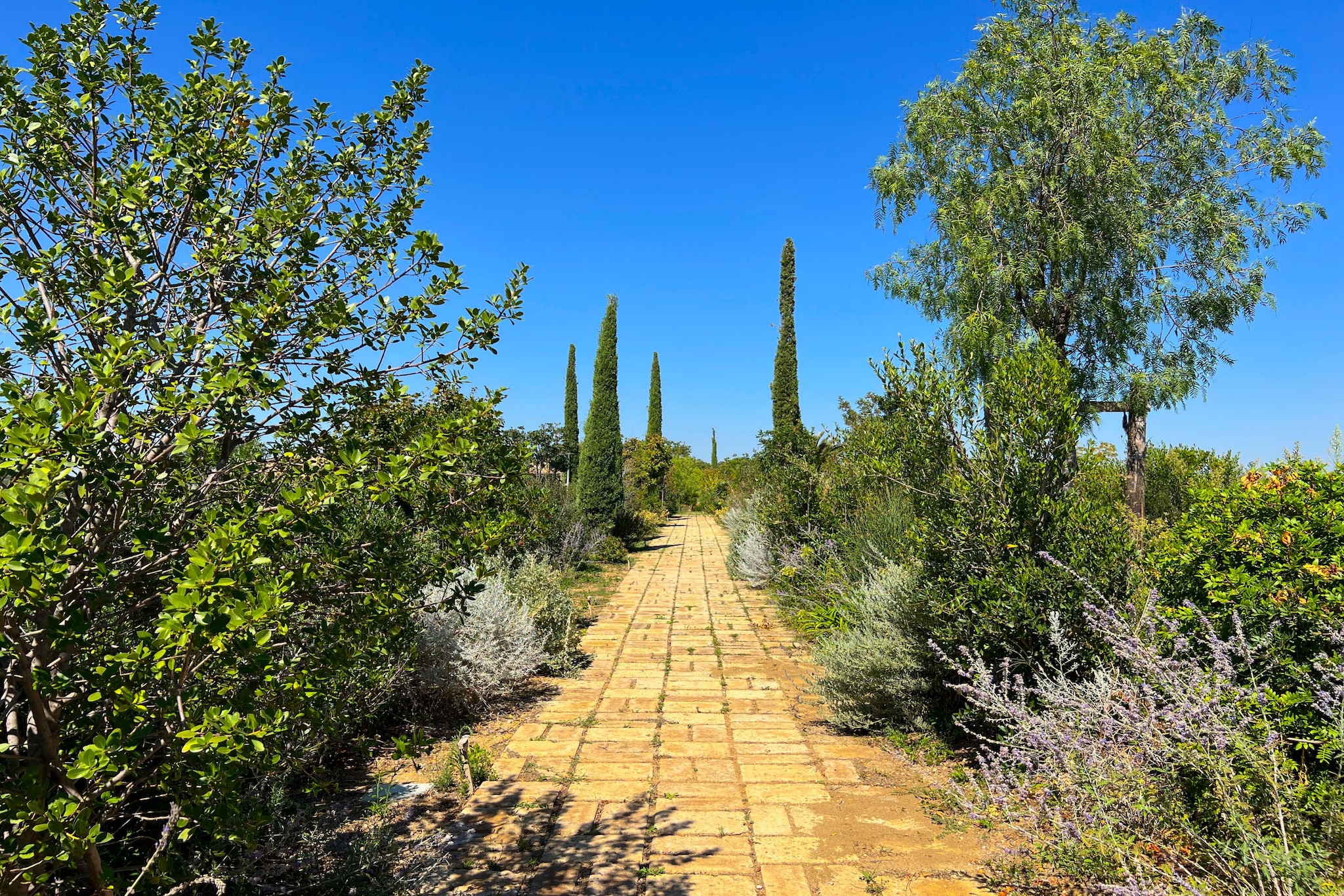 Maniero in Maremma-Gebiete Sommer 1 km
