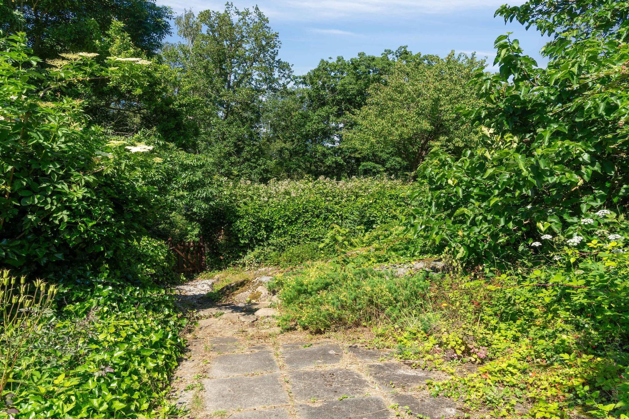5 sterren vakantie huis in Svaneke-Buitenlucht