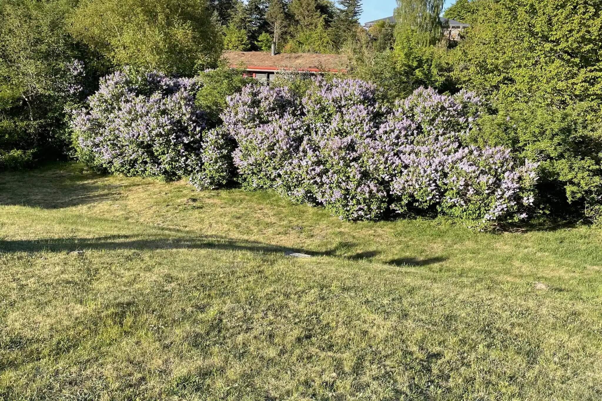 5 sterren vakantie huis in Ebeltoft