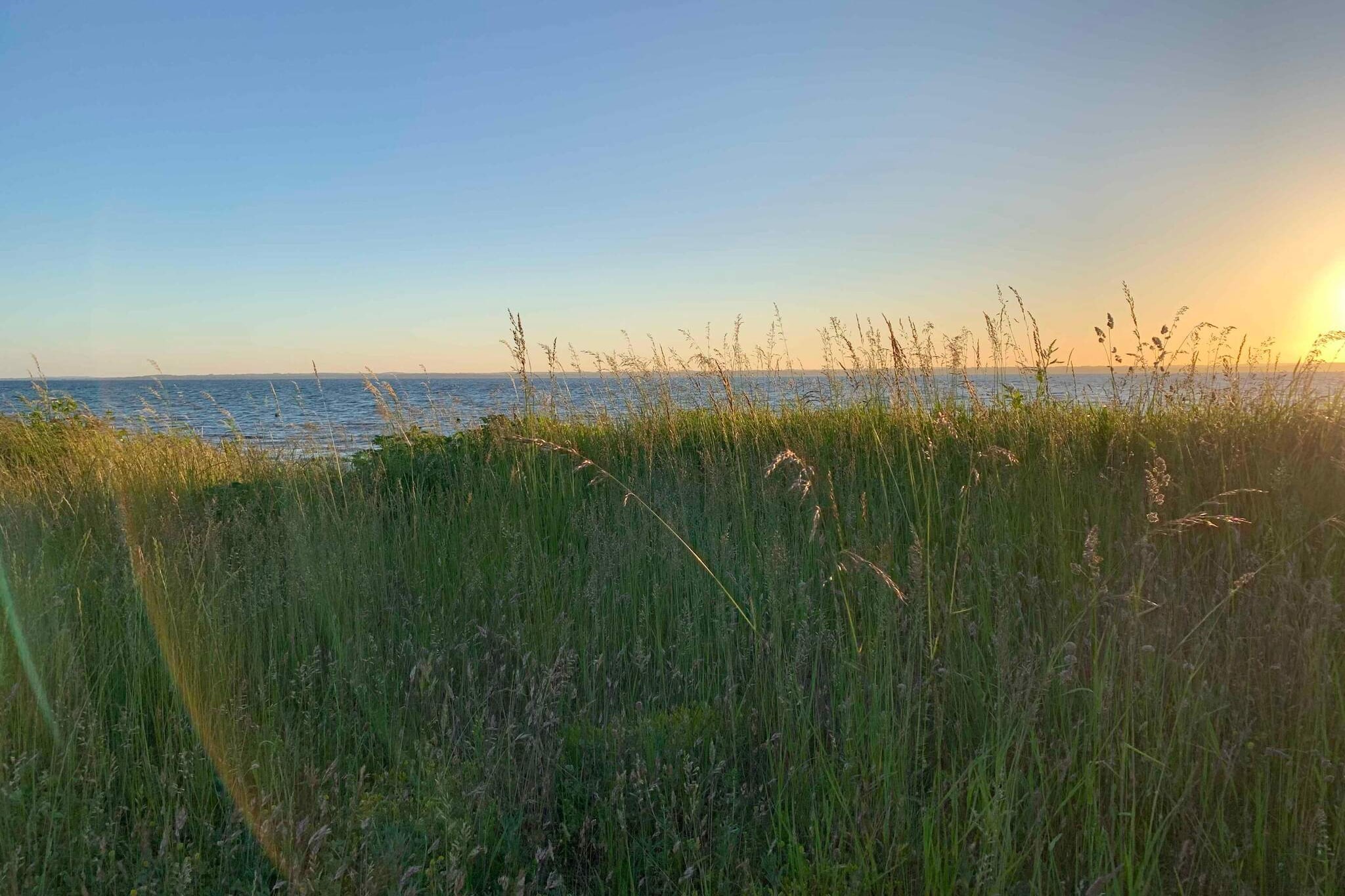 5 sterren vakantie huis in Tranekær-Buitenlucht