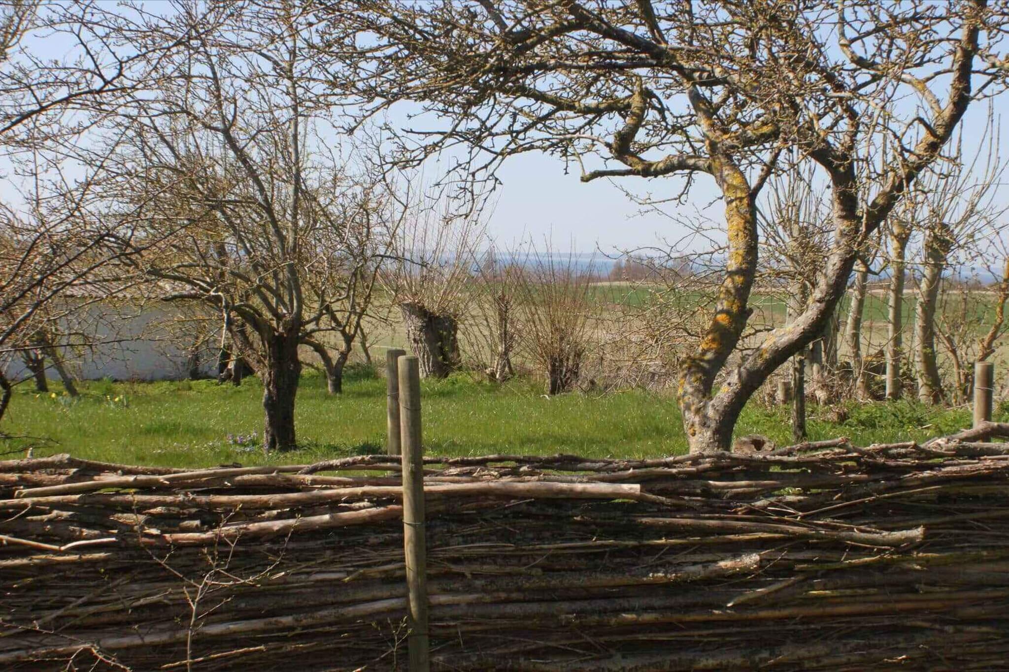 5 sterren vakantie huis in Søby Ærø-Niet-getagd