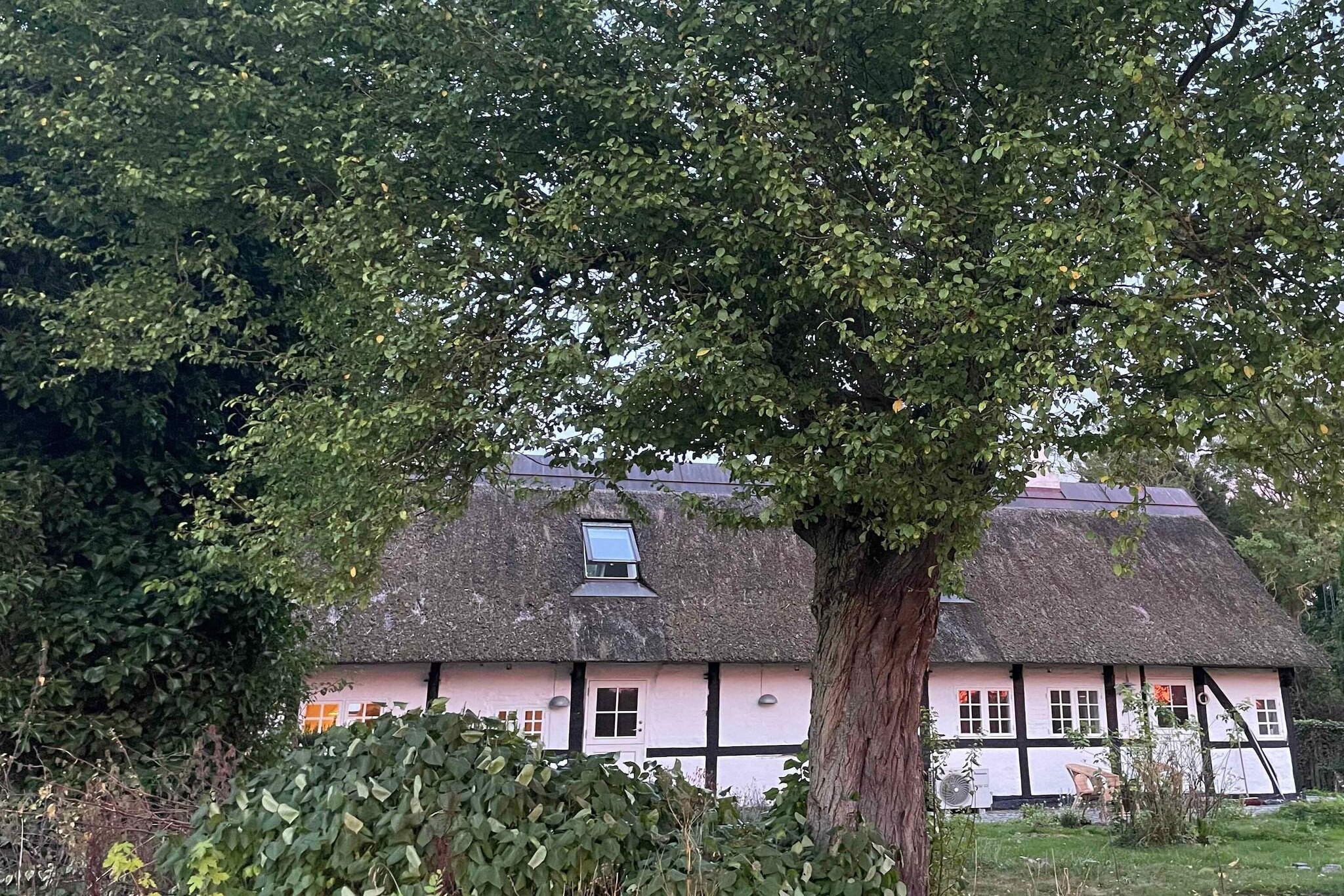 5 sterren vakantie huis in Stokkemarke