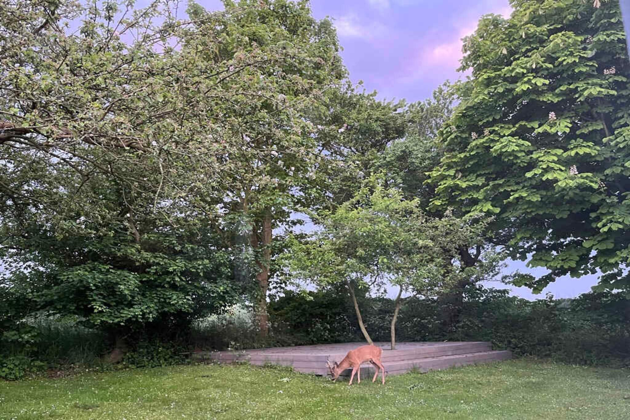 5 sterren vakantie huis in Borre-Buitenlucht