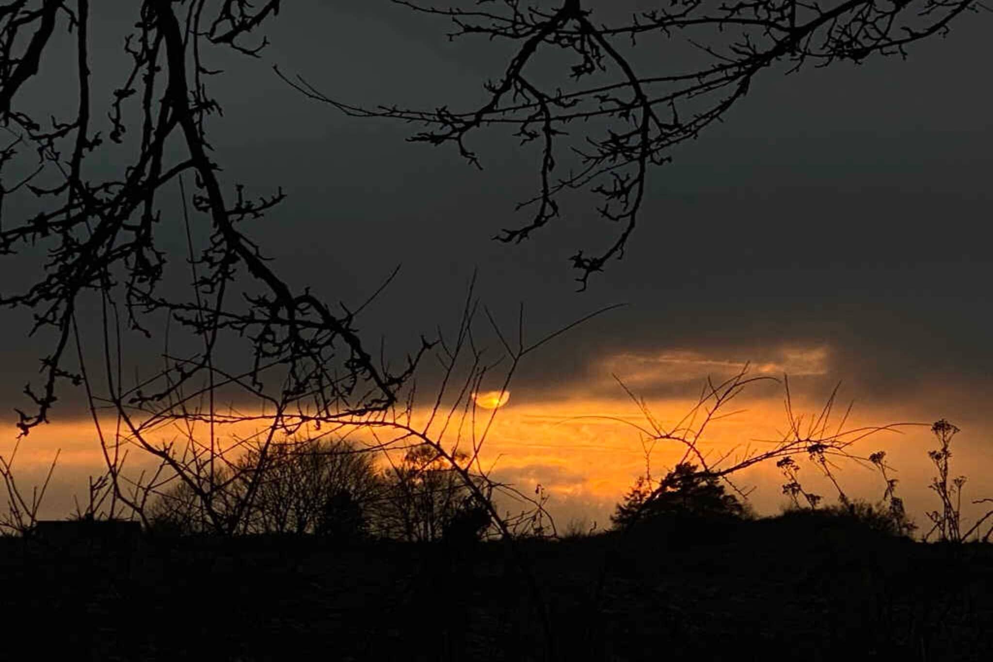 5 sterren vakantie huis in Borre-Buitenlucht