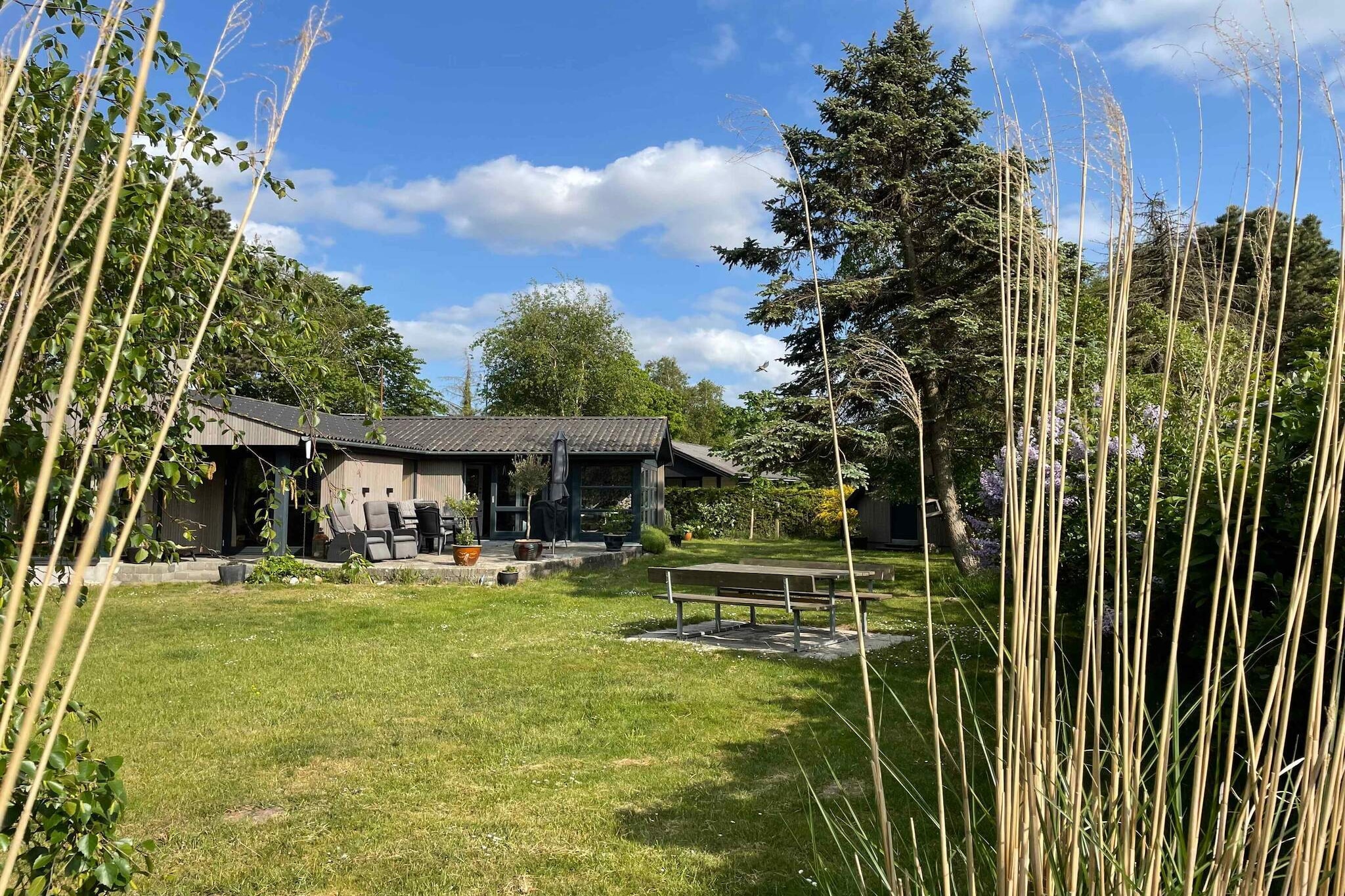 5 Sterne Ferienhaus in Rødby-Im Freien