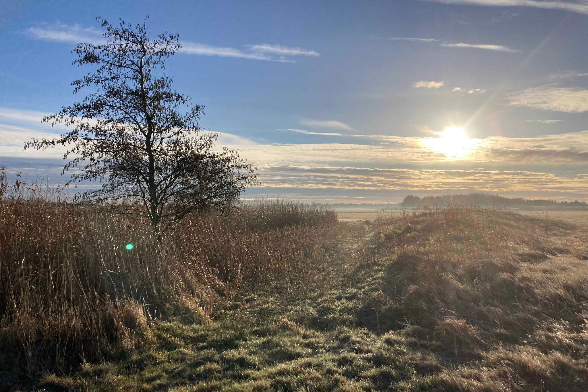 5 Sterne Ferienhaus in Rødby-Im Freien