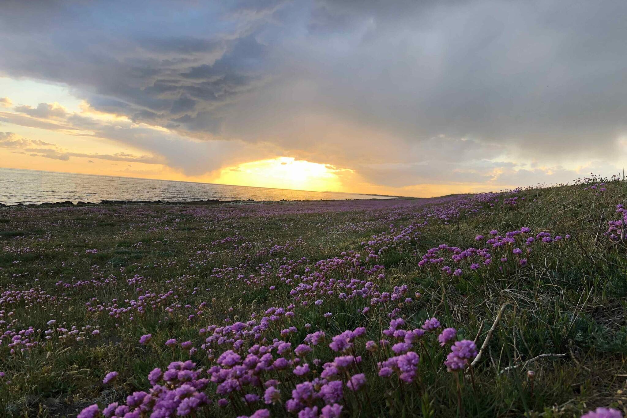 5 Sterne Ferienhaus in Rødby-Im Freien