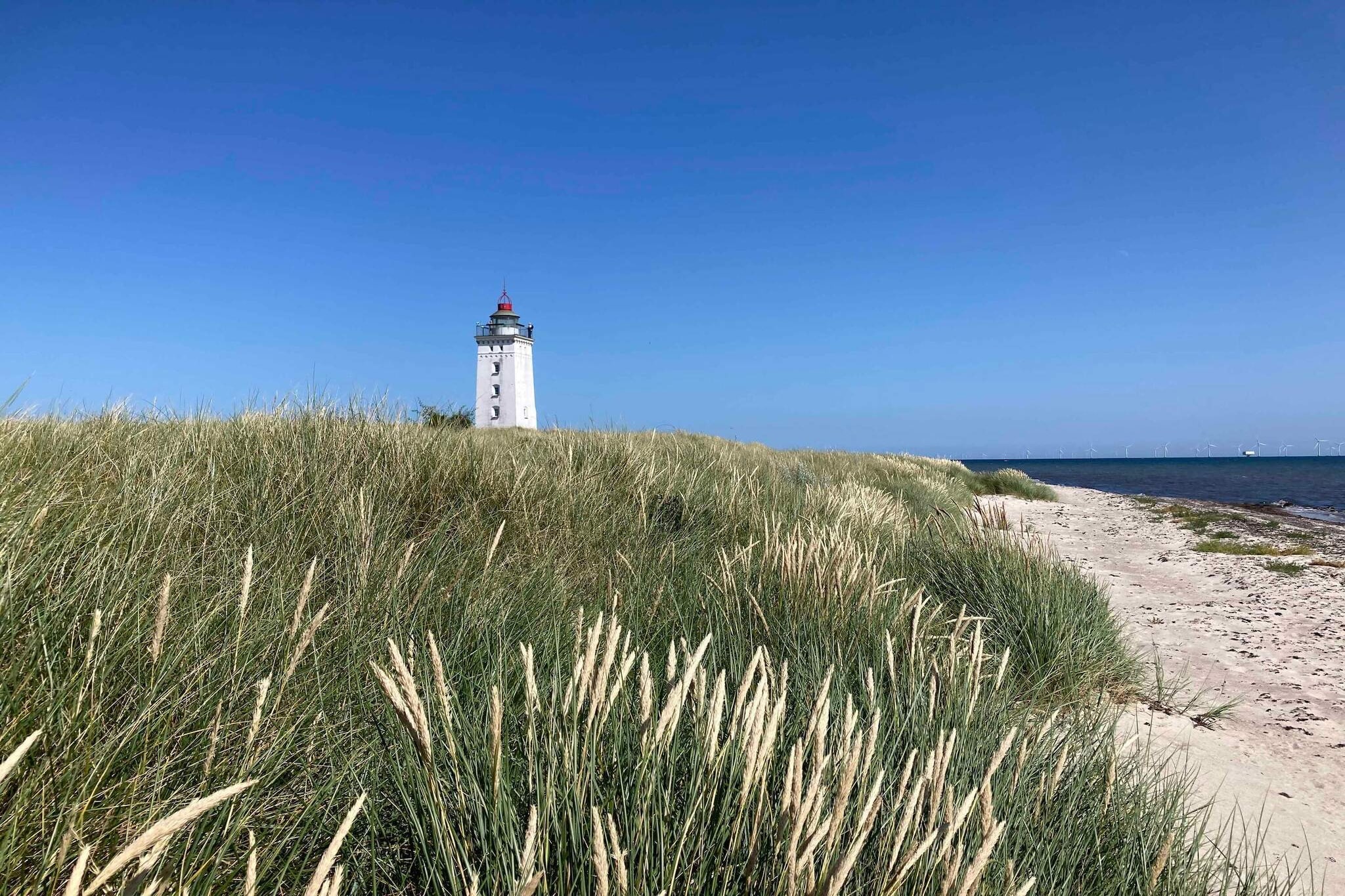 5 Sterne Ferienhaus in Rødby-Im Freien