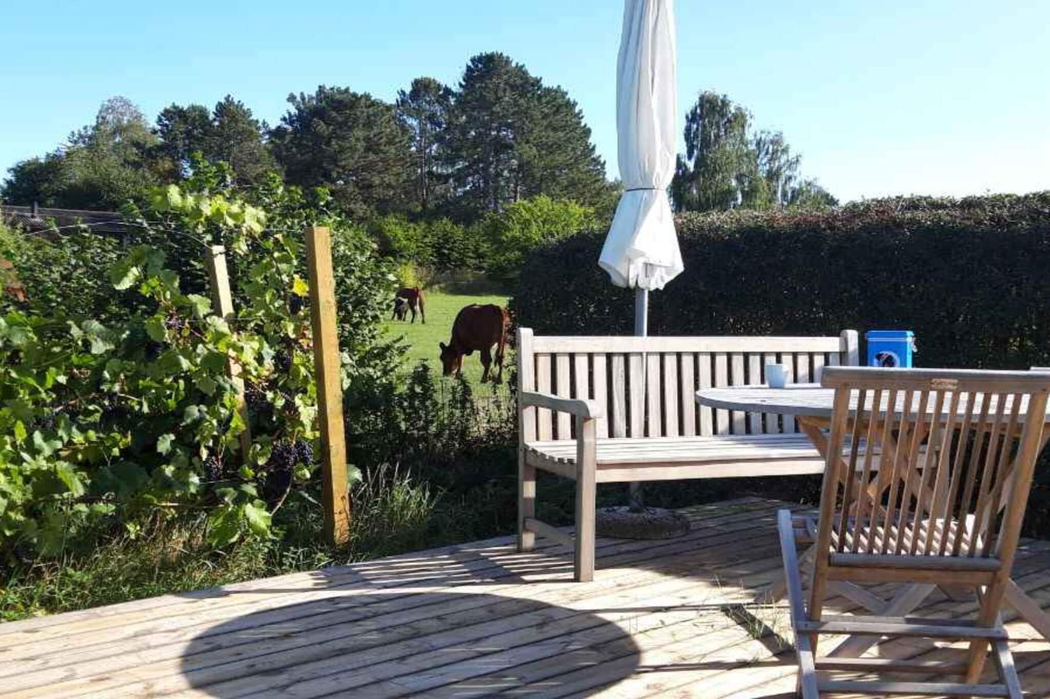 5 sterren vakantie huis in Kirke Hyllinge-Buitenlucht