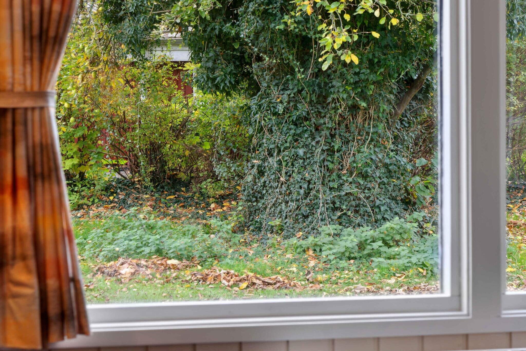 5 sterren vakantie huis in Rødvig Stevns-Binnen