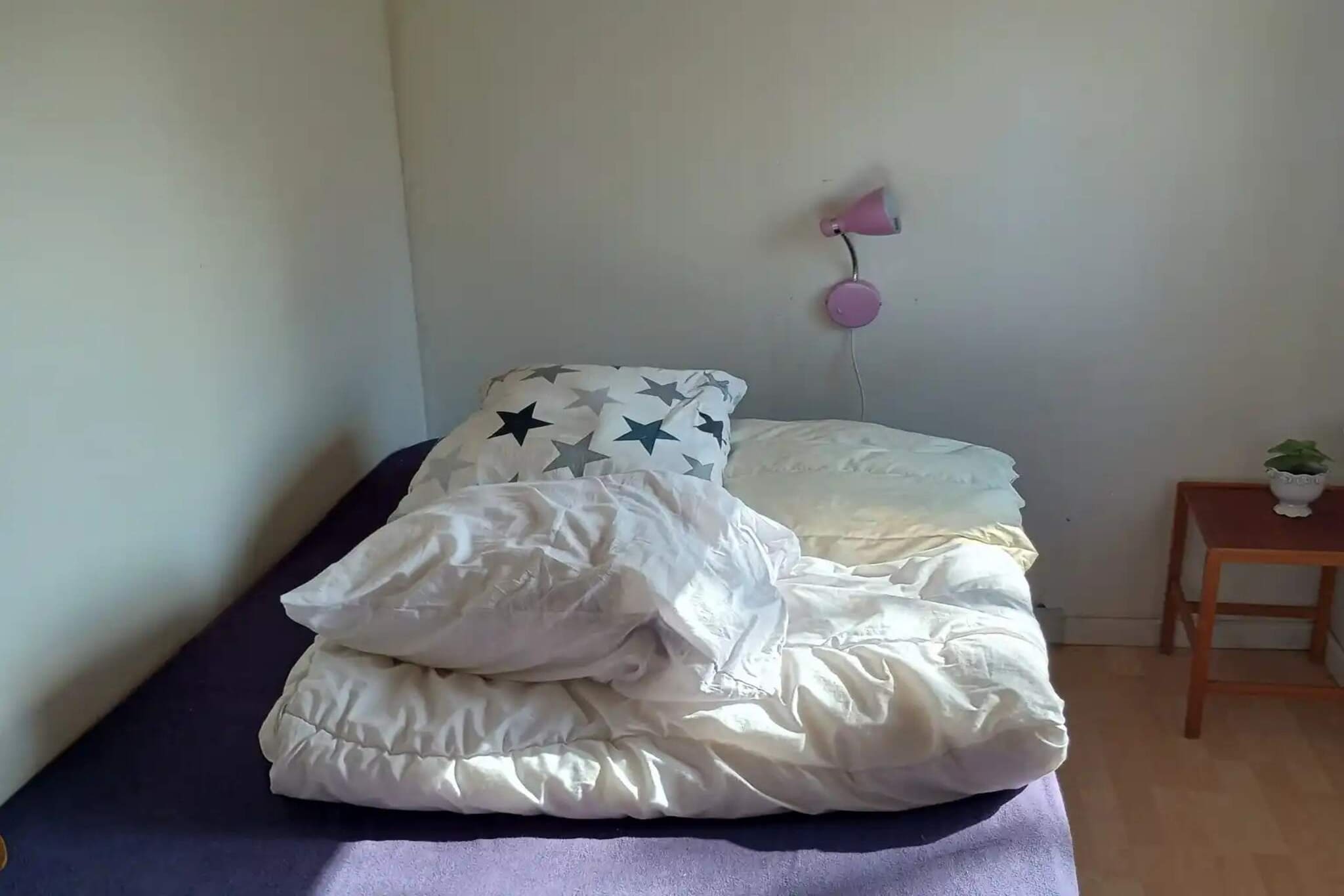 5 sterren vakantie huis in Odder